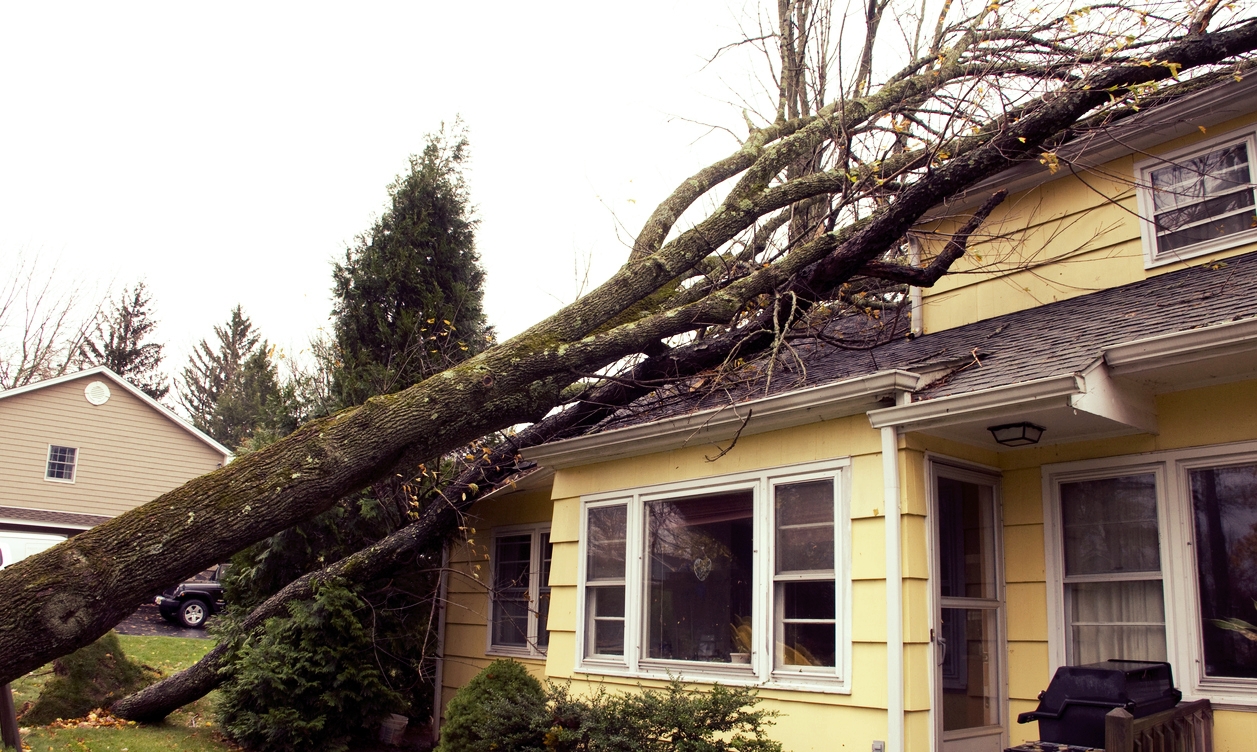 Trees-fallen-on-house-roof-178756342_1257x835.jpeg