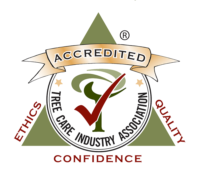 TCIA accredited small.png