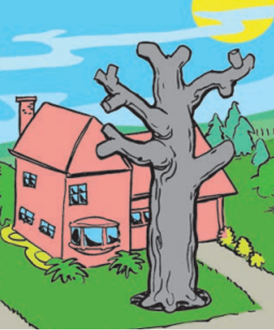 Preparing Your Trees for the Season Ahead