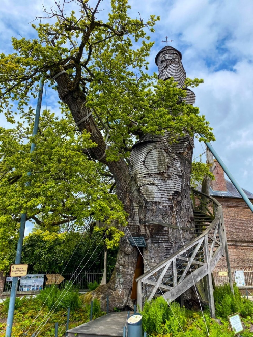 Le Chêne Chapelle (The Chapel Oak)
