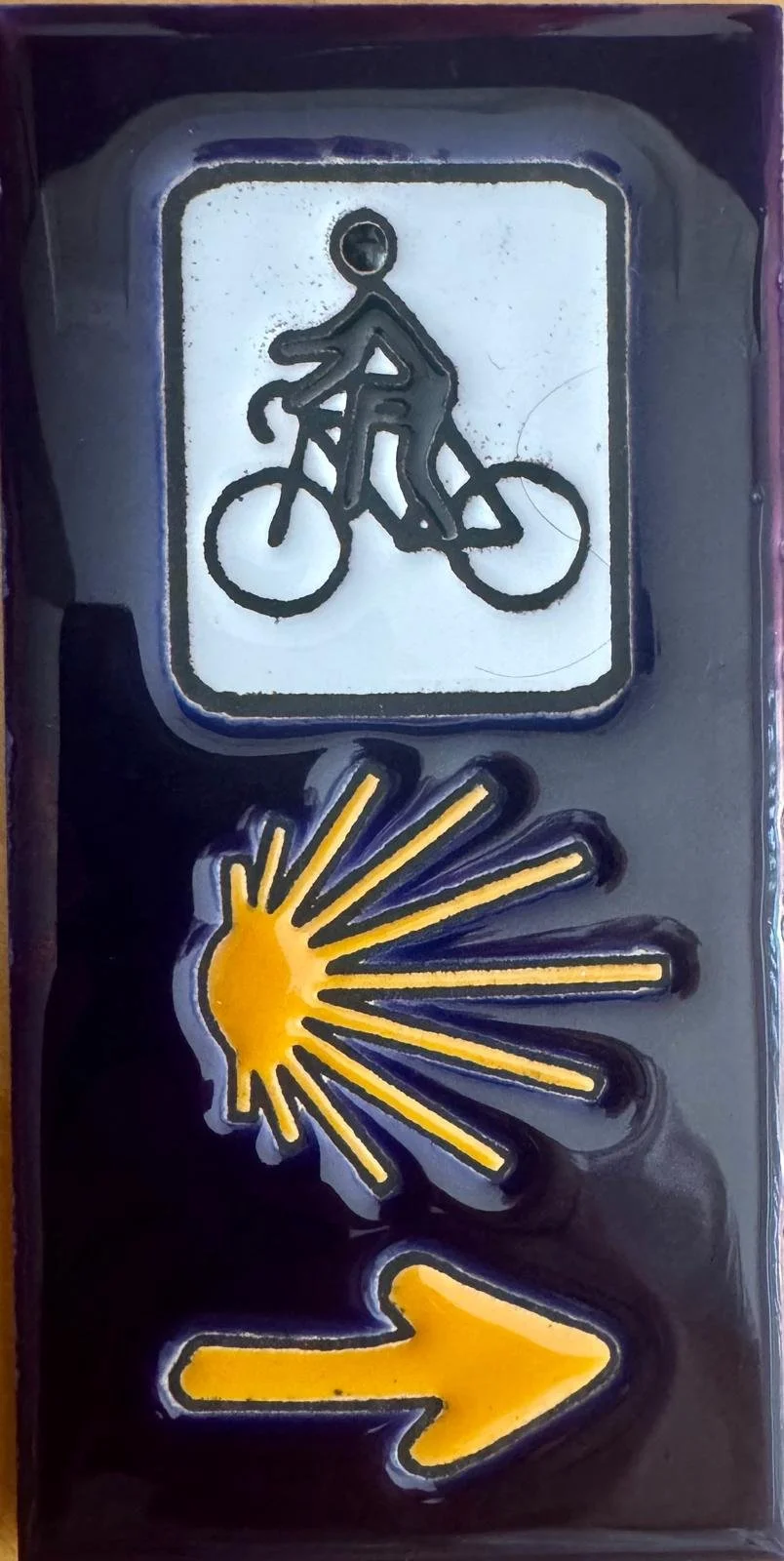 Biking Camino.jpeg