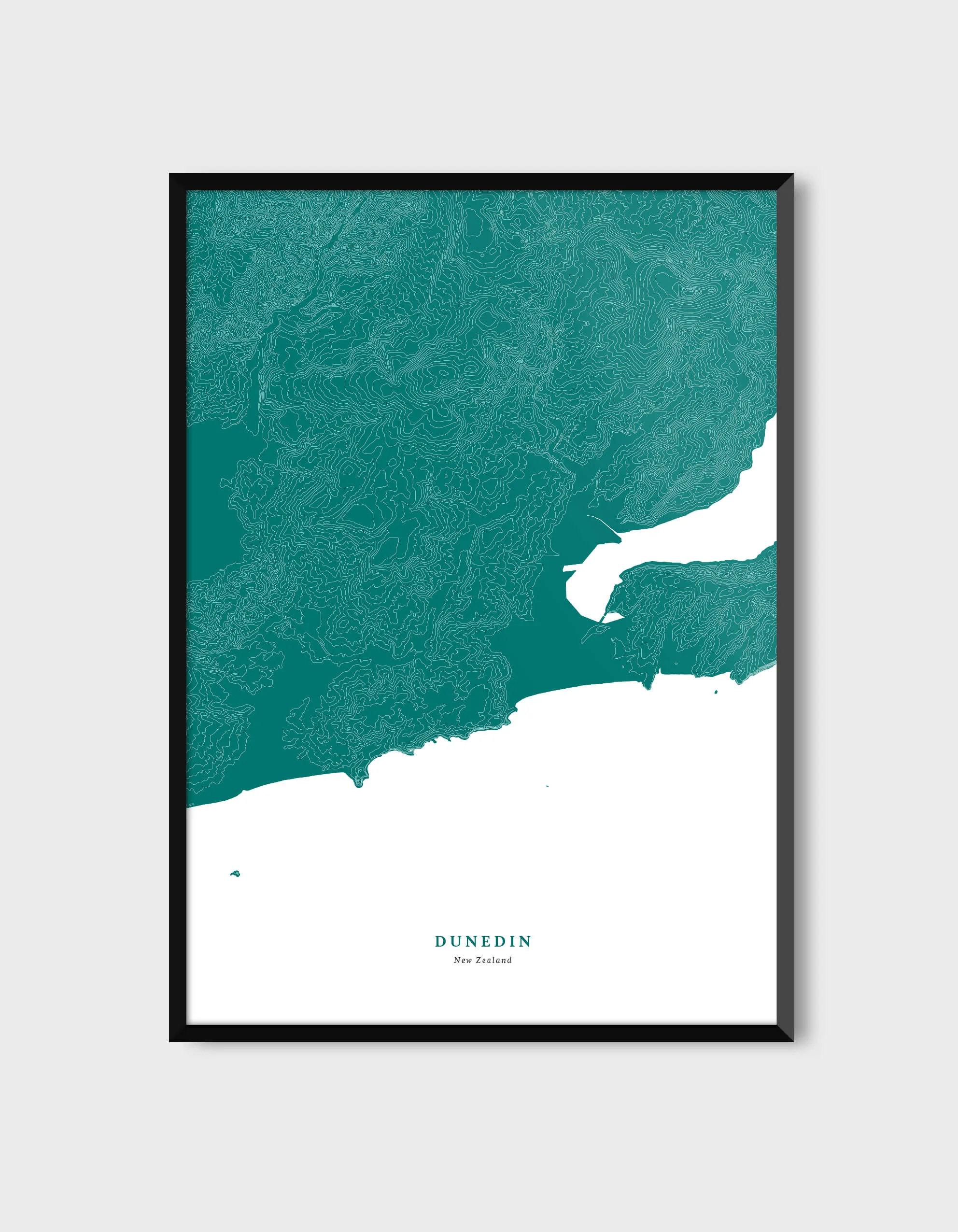 dunedin-wall-frame.jpg
