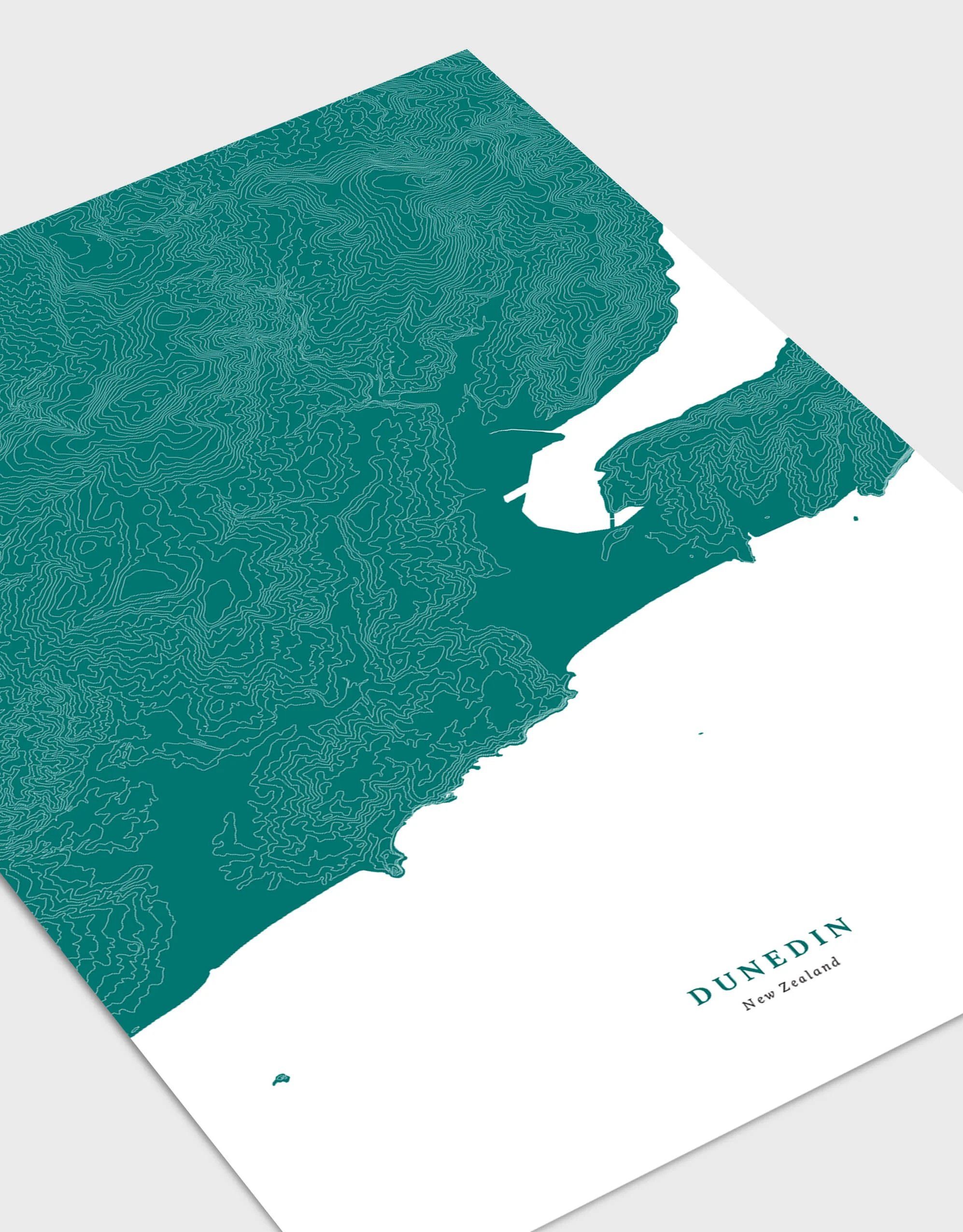 dunedin-poster-lying-flat-cu.jpg