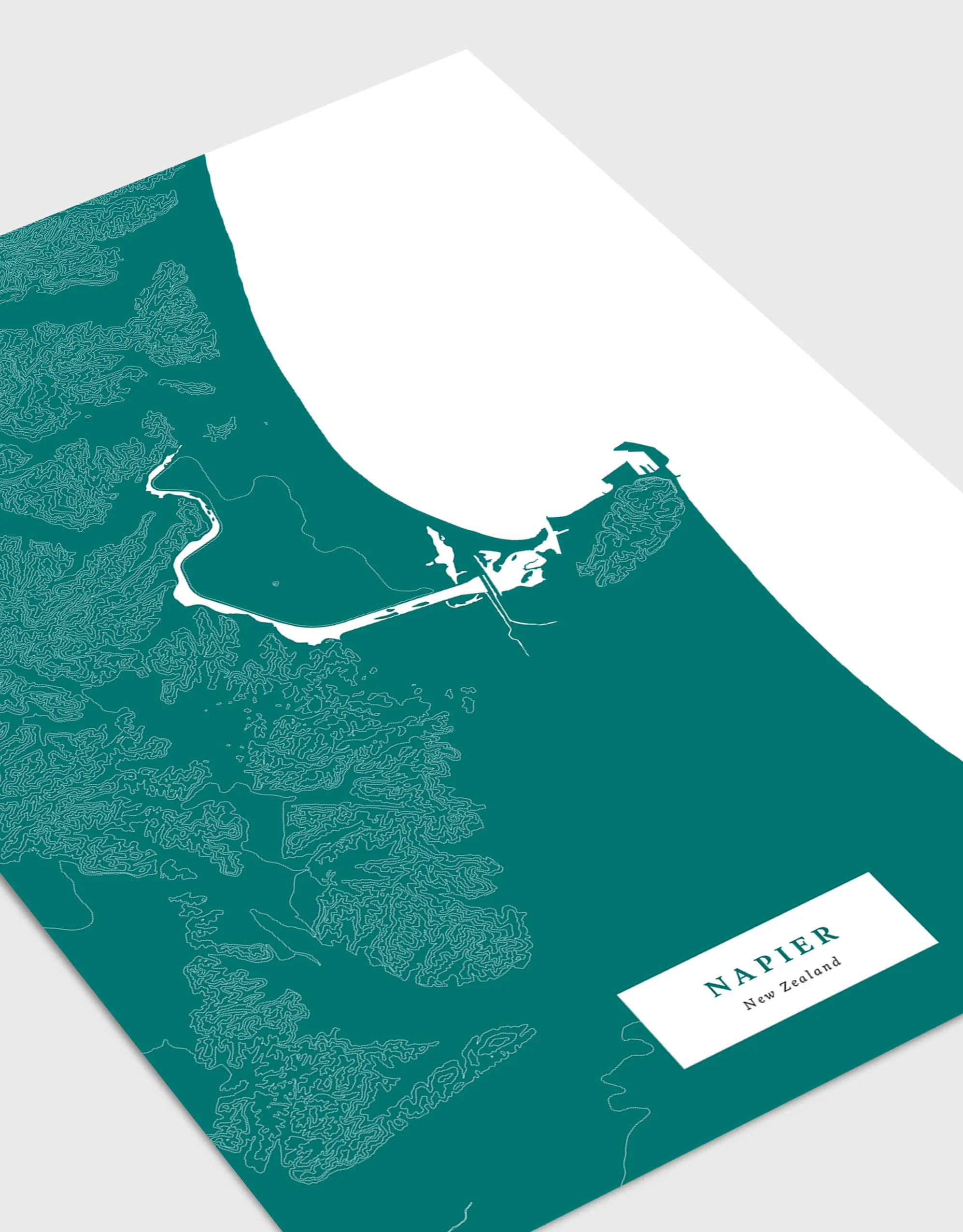 napier-poster-lying-flat-cu.jpg