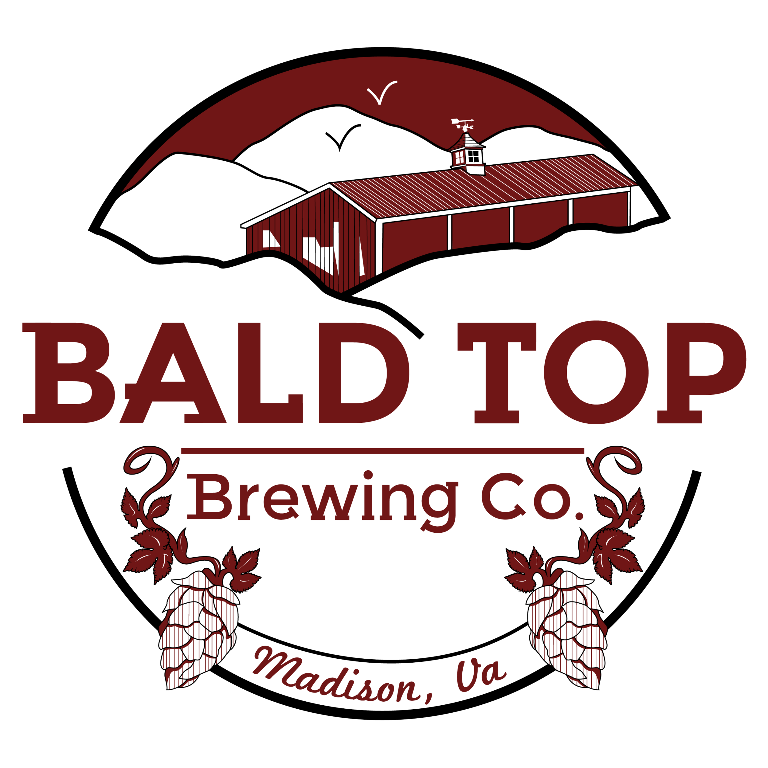 bald-top-logo.png