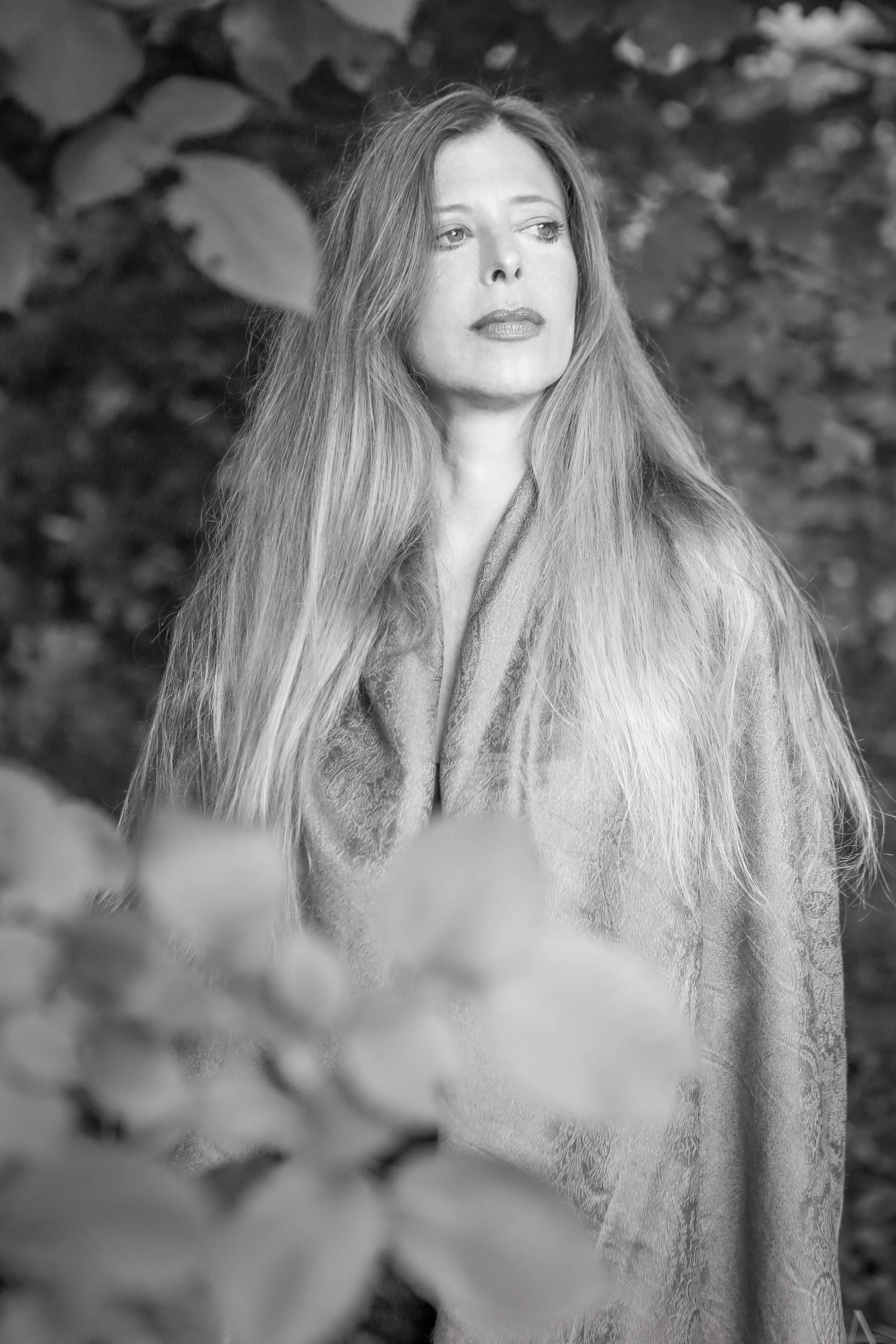 Celia Anne