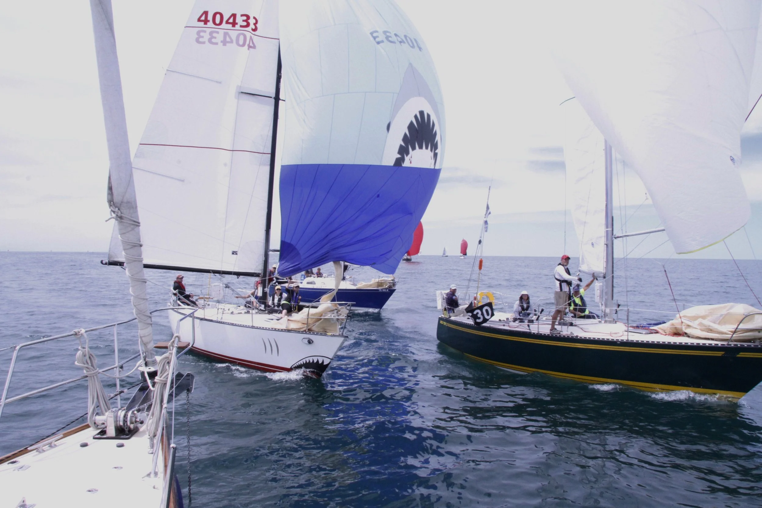 Queen's Cup 2016 Finish #3.JPG