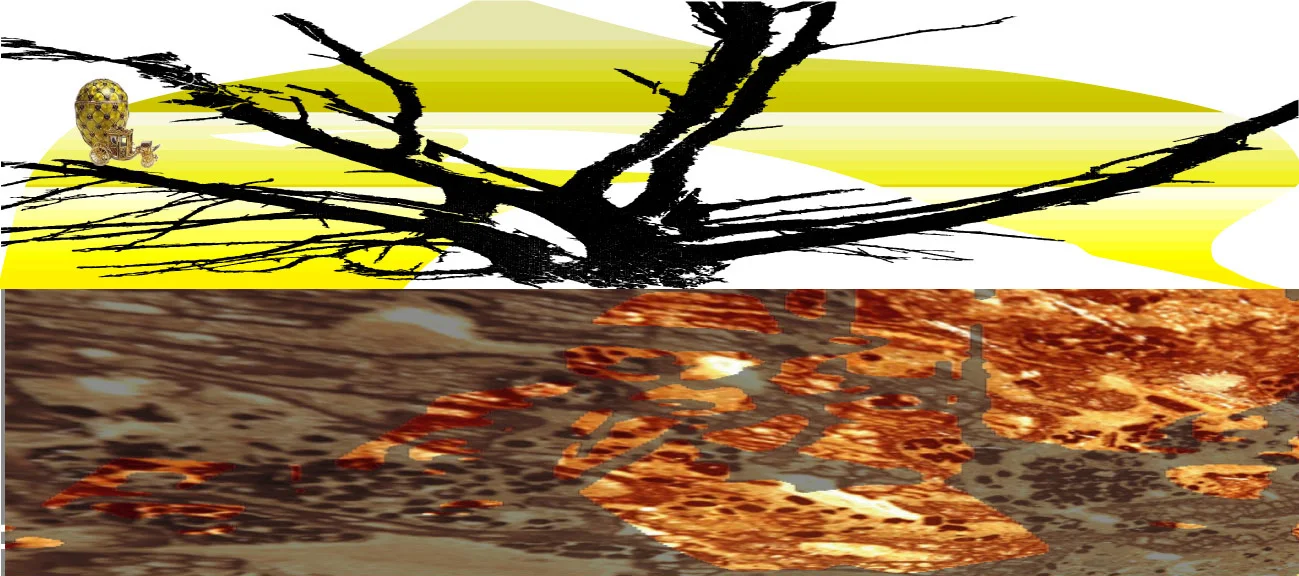 tumbleweed03.jpg