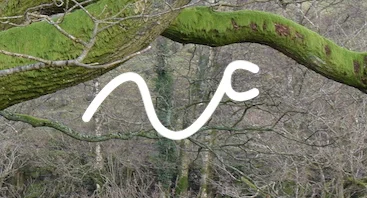 mouth paper ...... –&gt;