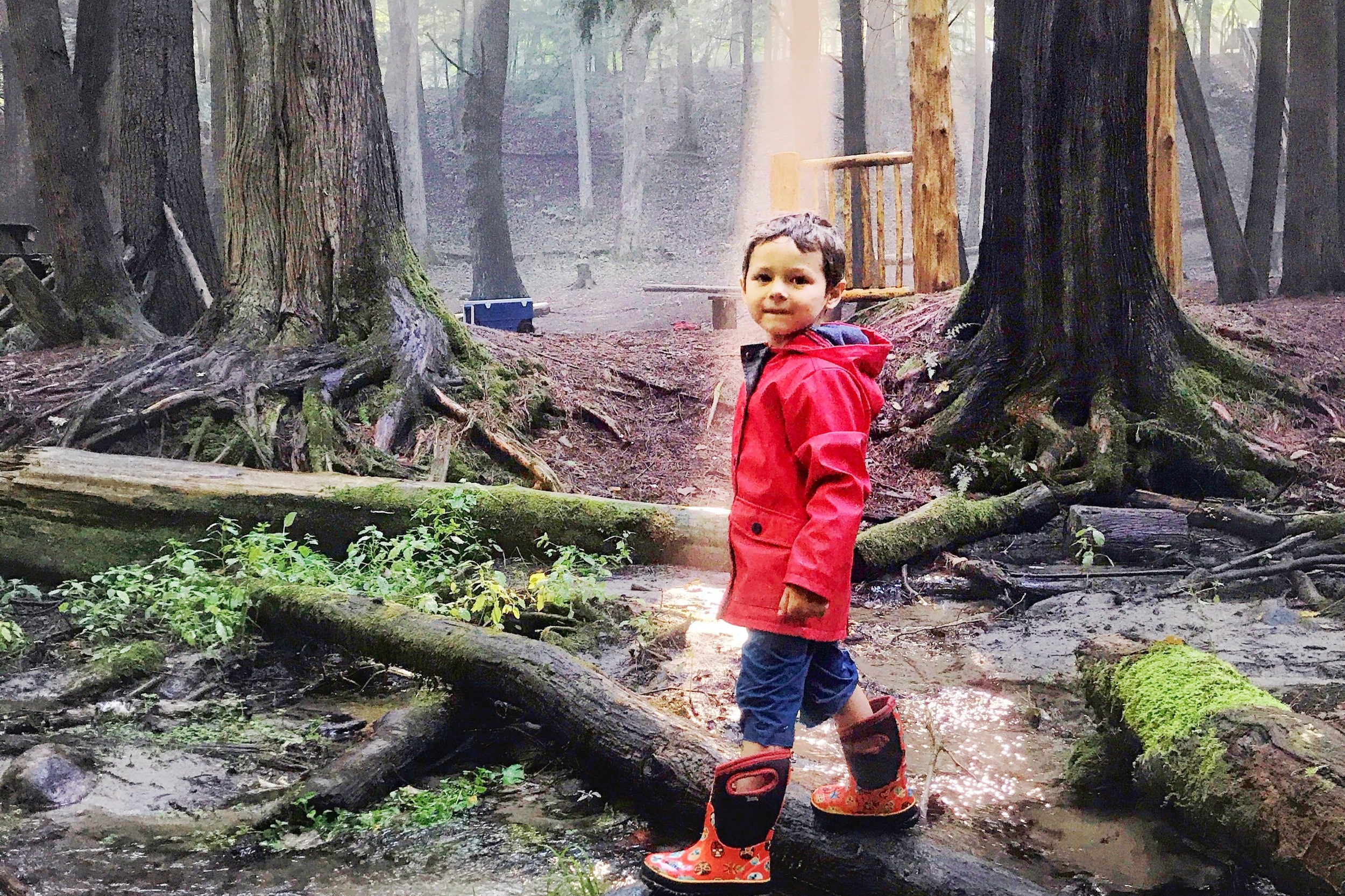 Boy+in+the+forest.jpg