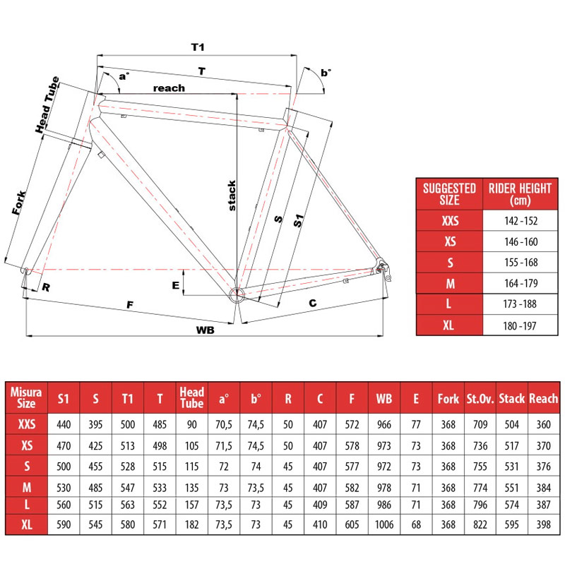 cinelli experience size guide