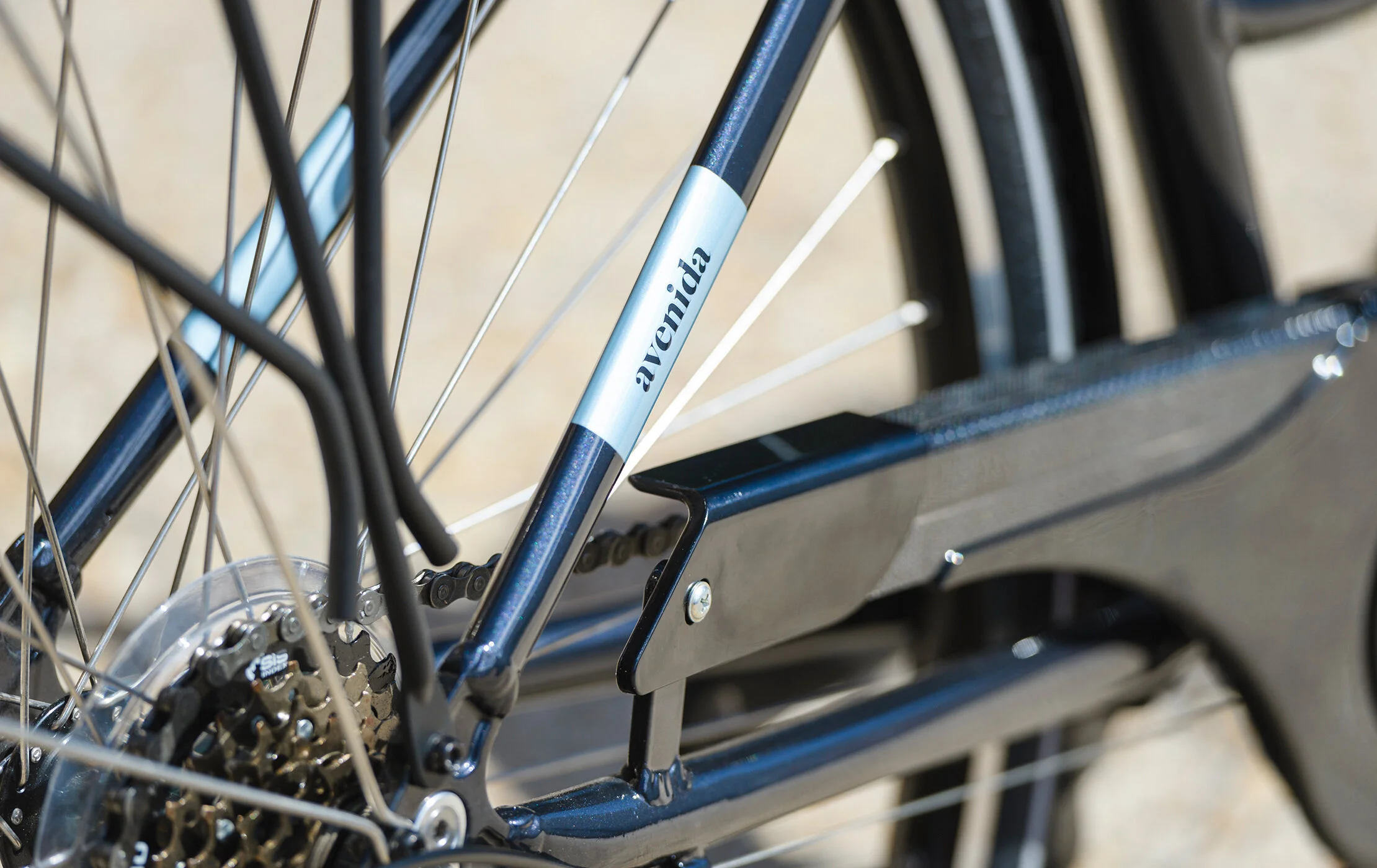 ridgeback avenida 21