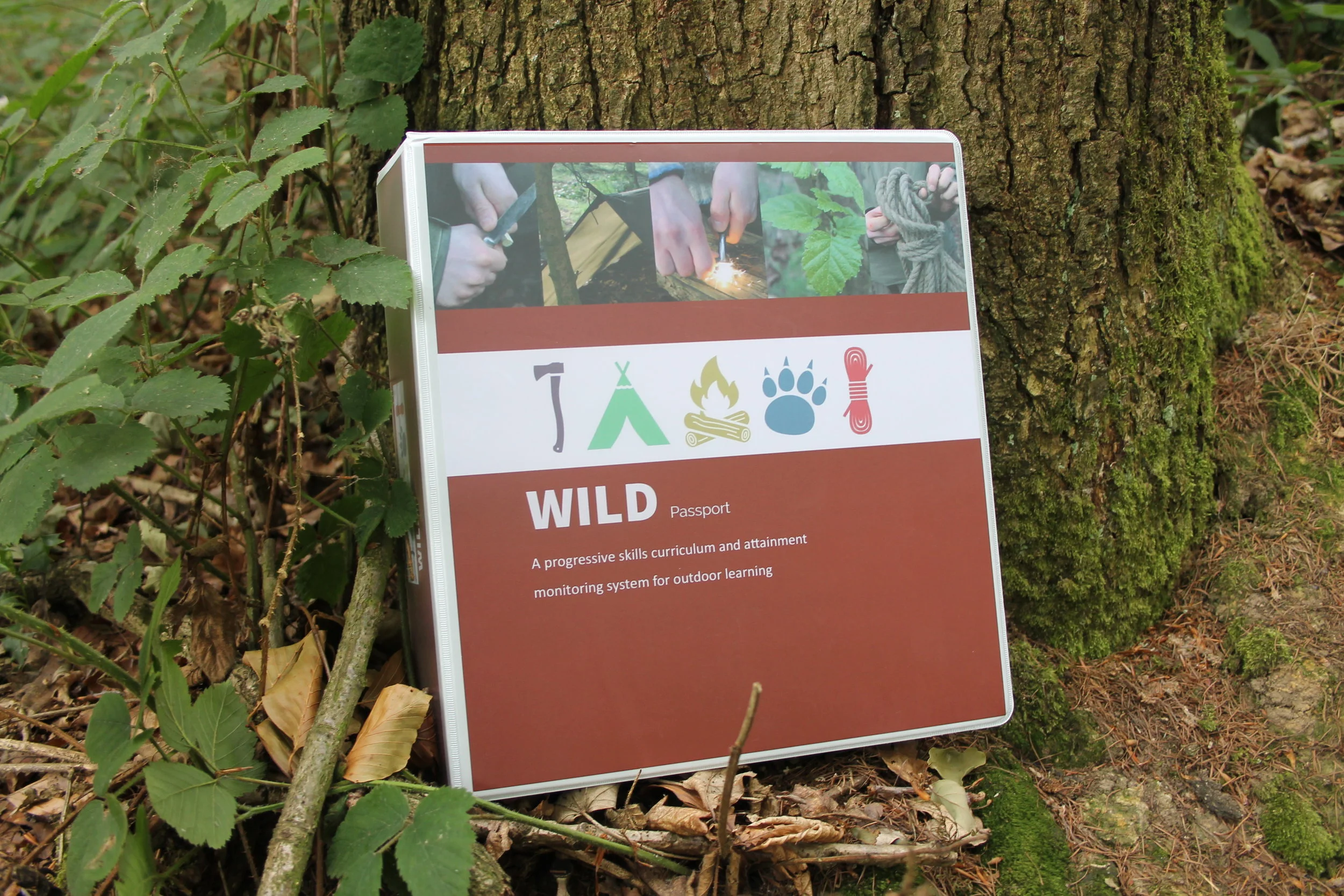 Curriculum Resource Pack