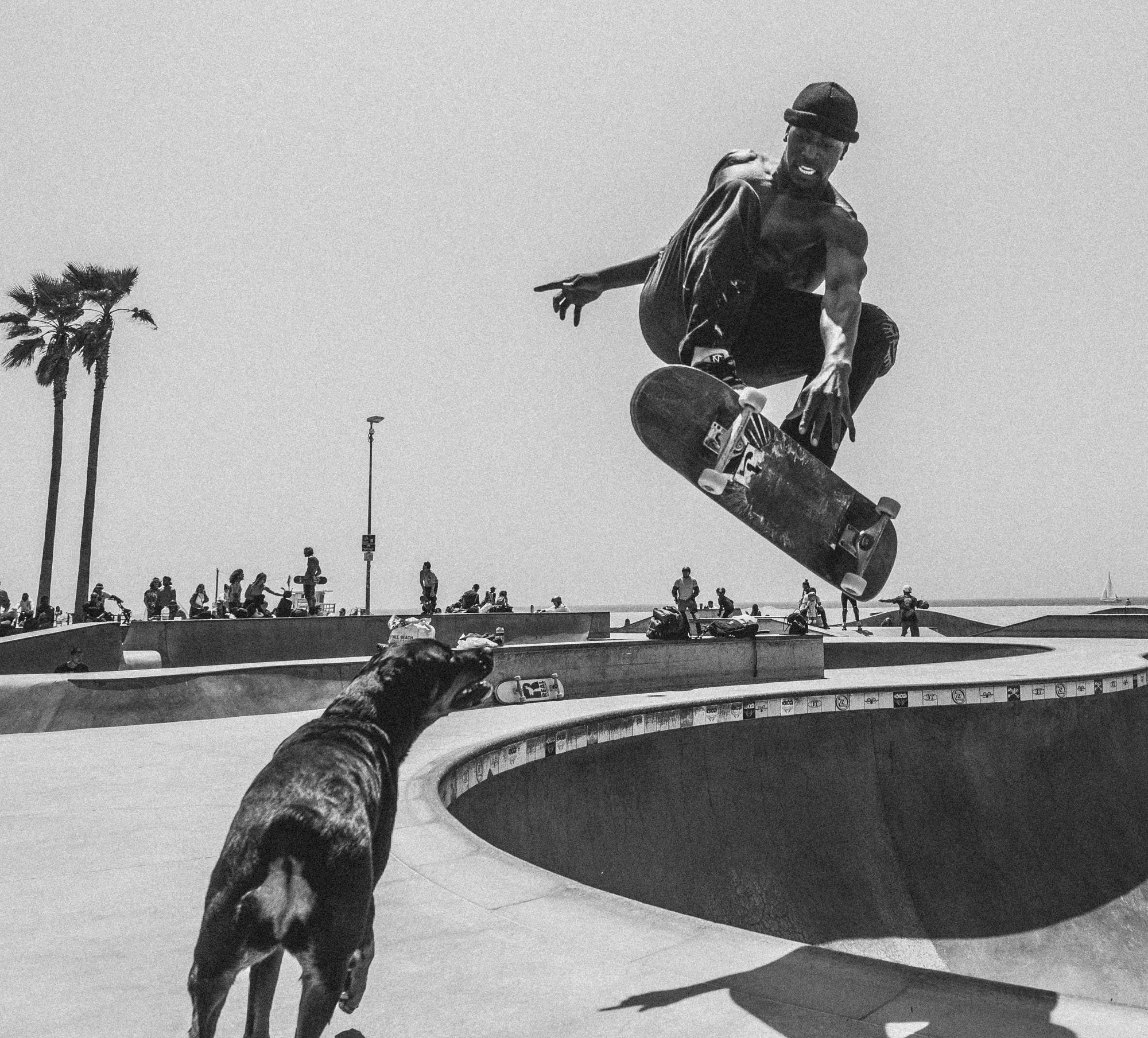 2022_05_01_venice_skate_04.jpg