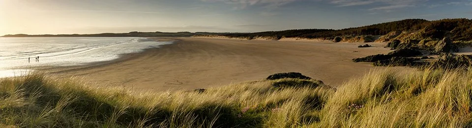 Autumn Reset | Yoga & Wellness Retreat w/ Katarina Rayburn