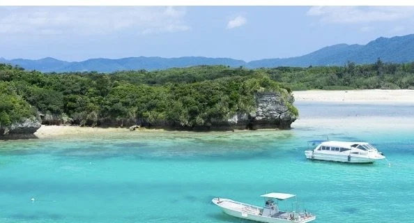 Image 18-09-2025 at 16.55.jpeg