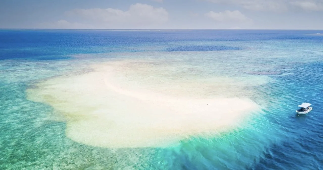 Image 18-09-2025 at 16.55.jpeg