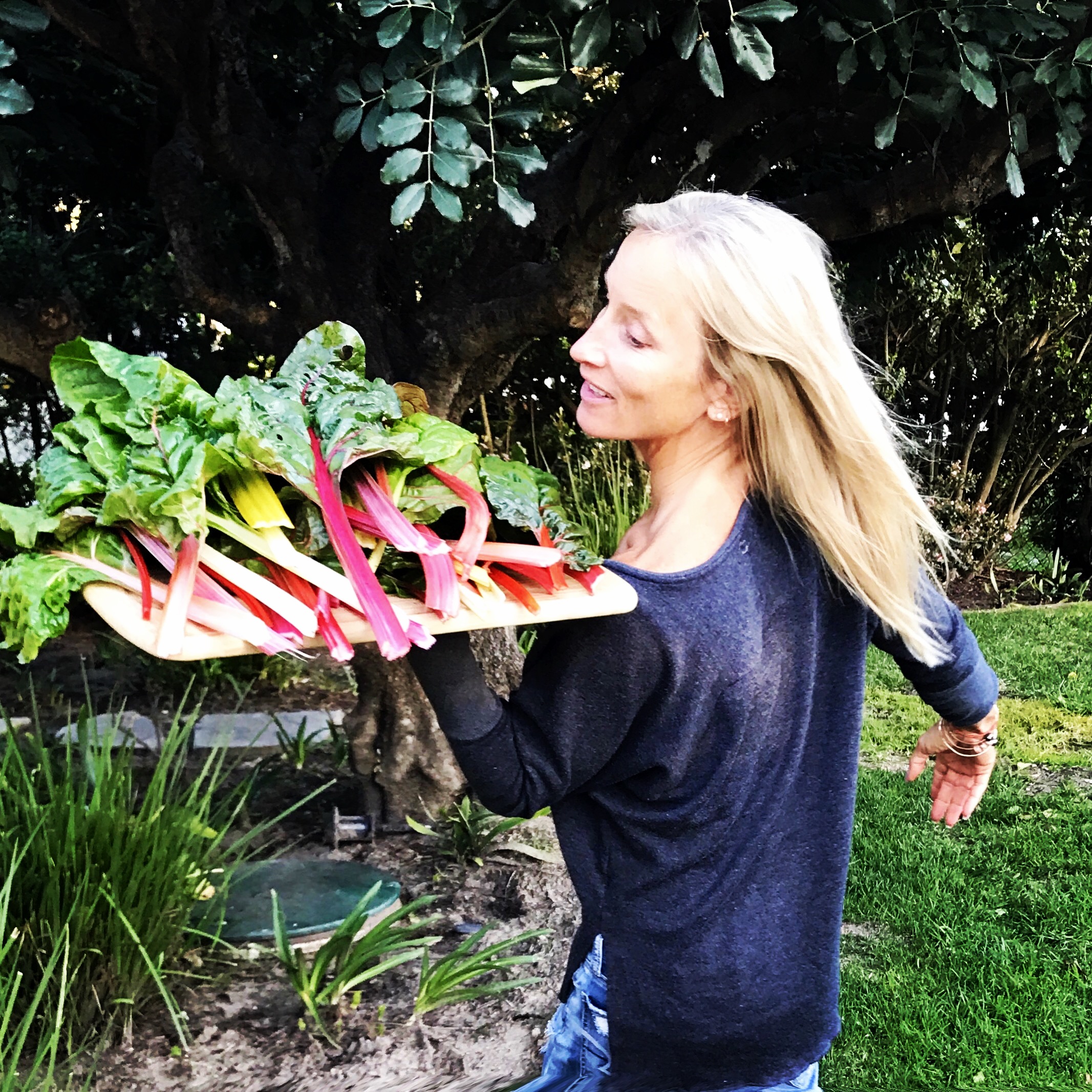Sauteed Rainbow Chard Ribbons