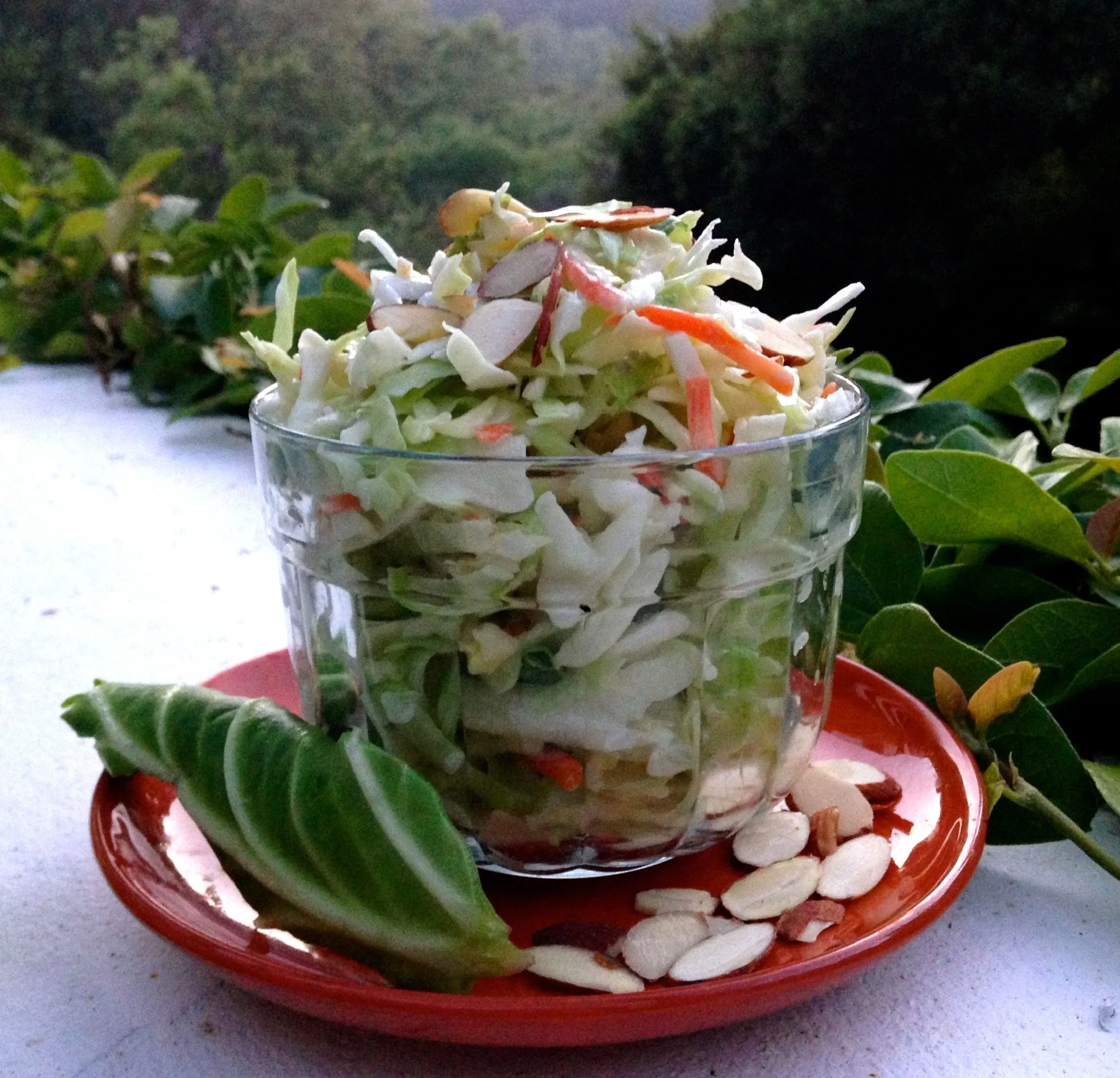 Cold Slaw.JPG