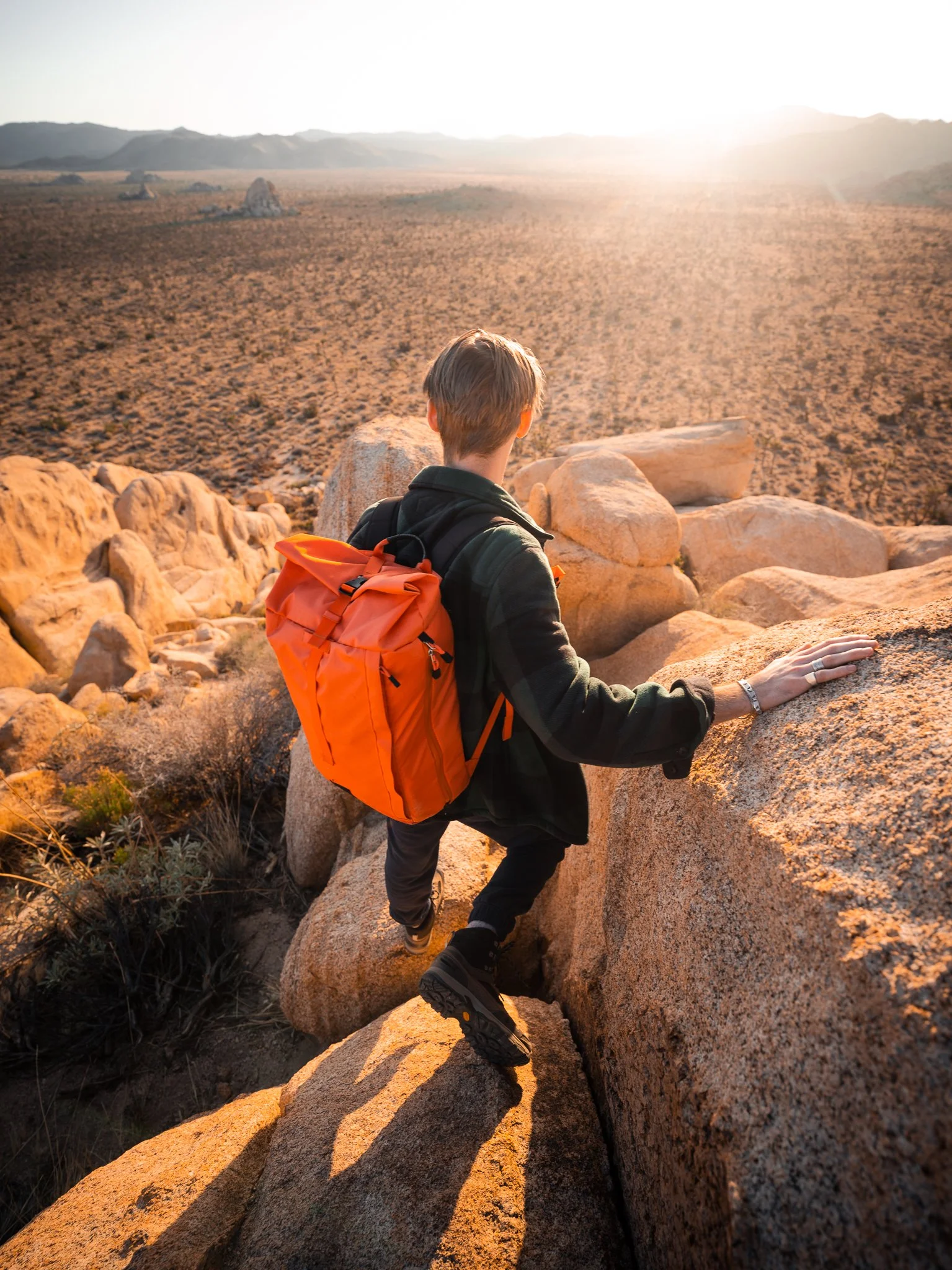 Joshua Tree-4.jpg