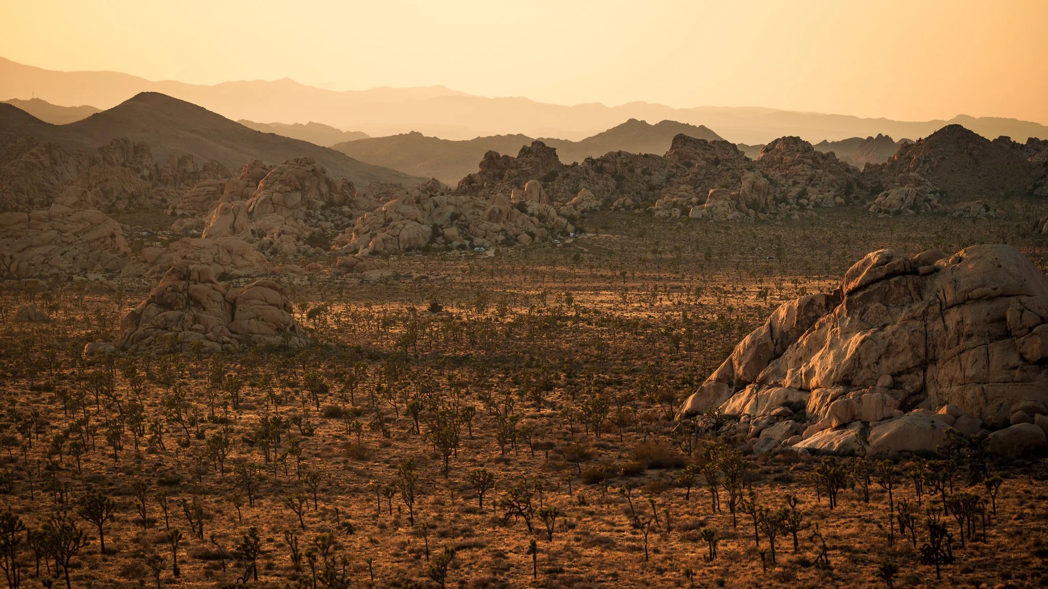 Joshua Tree-15.jpg
