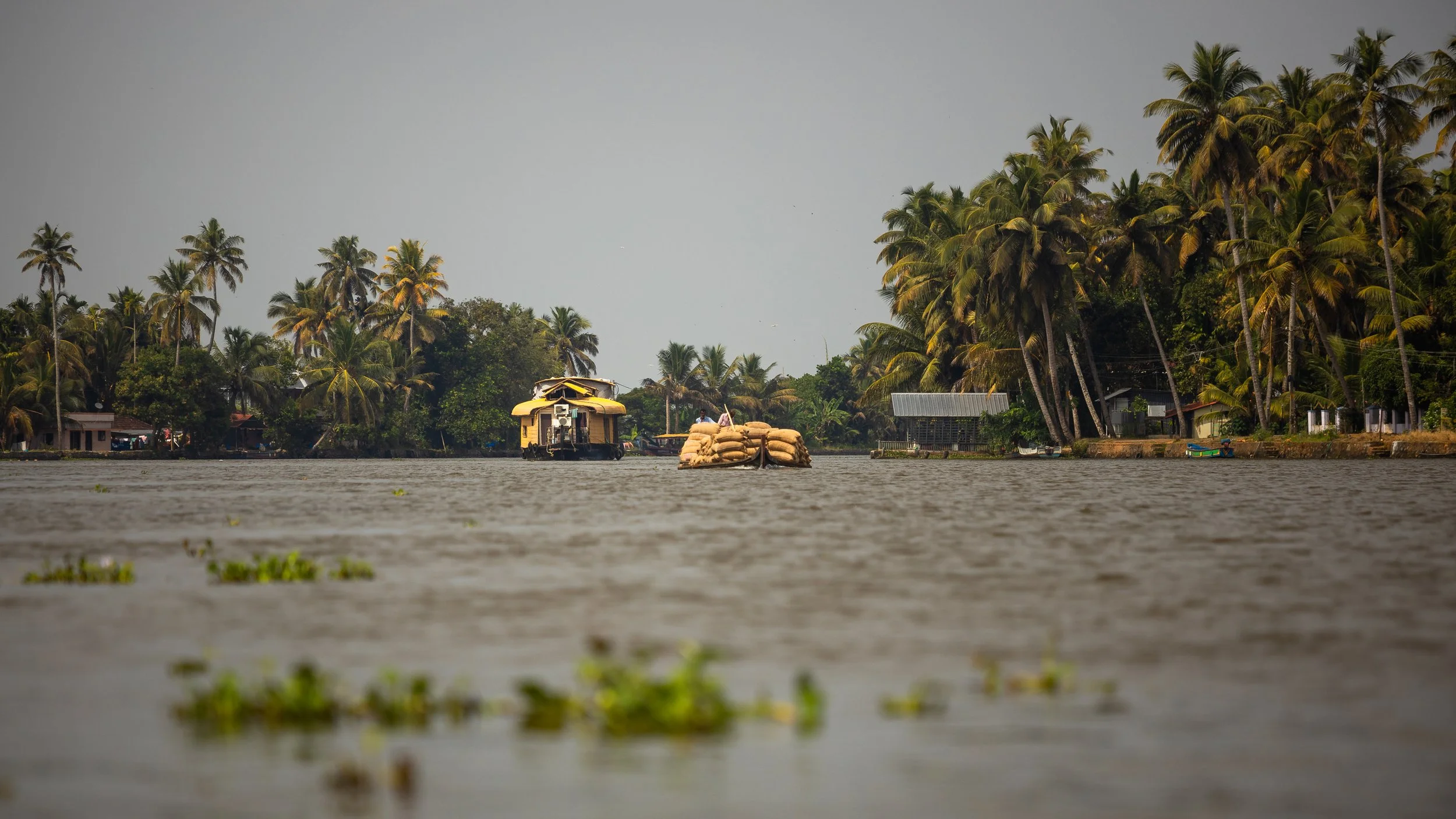 Alleppey Selects-92.jpg