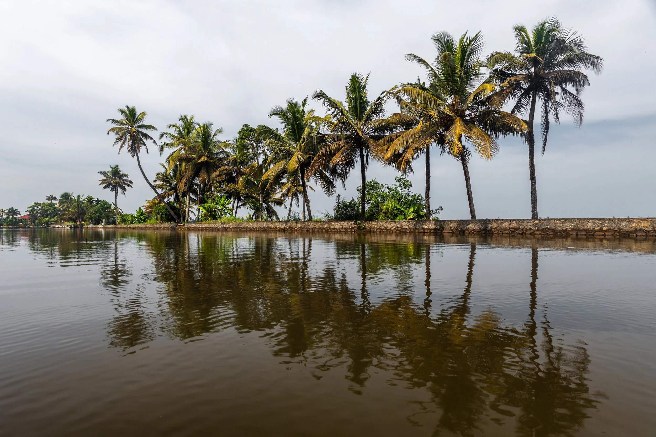 Alleppey Selects-85.jpg