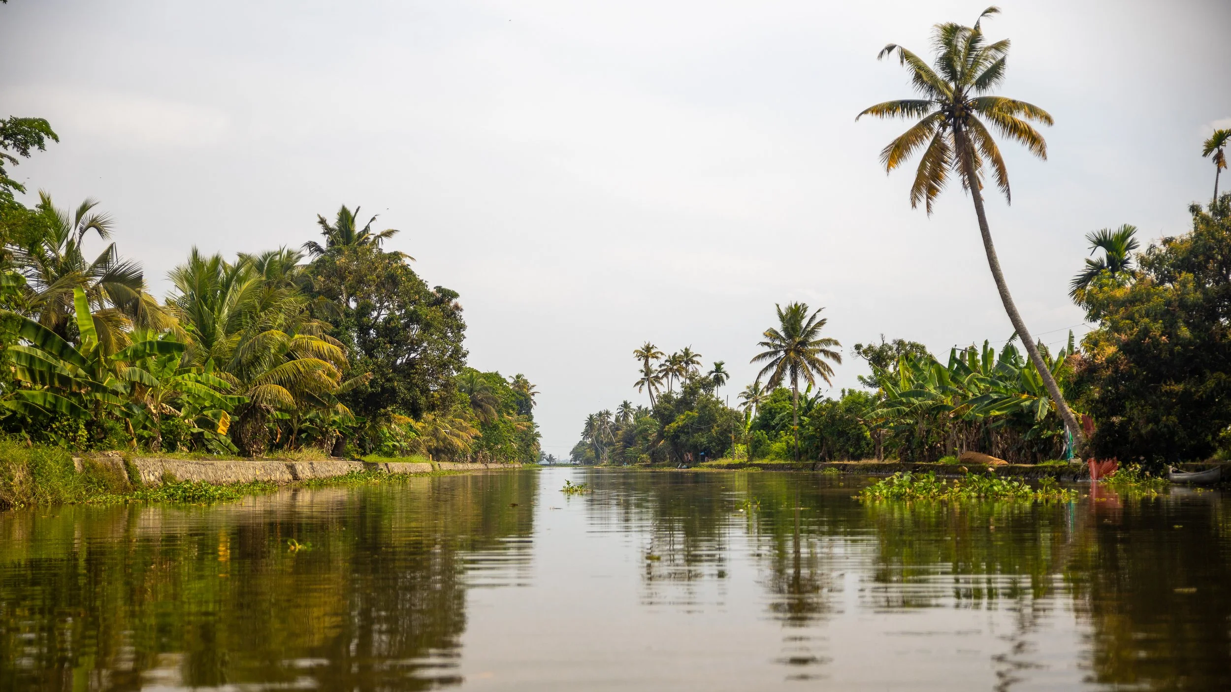 Alleppey Selects-84.jpg
