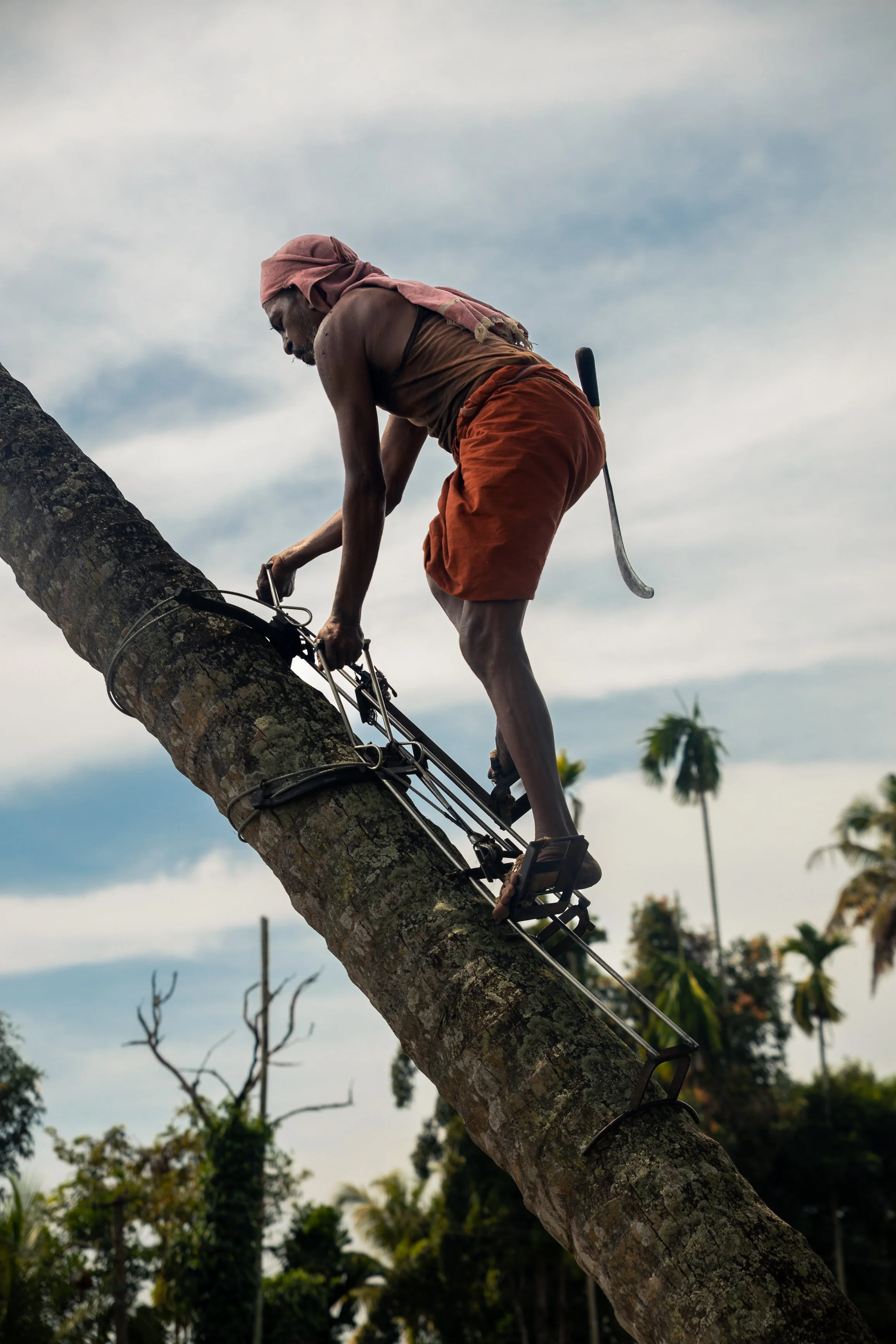 Alleppey Selects-83.jpg