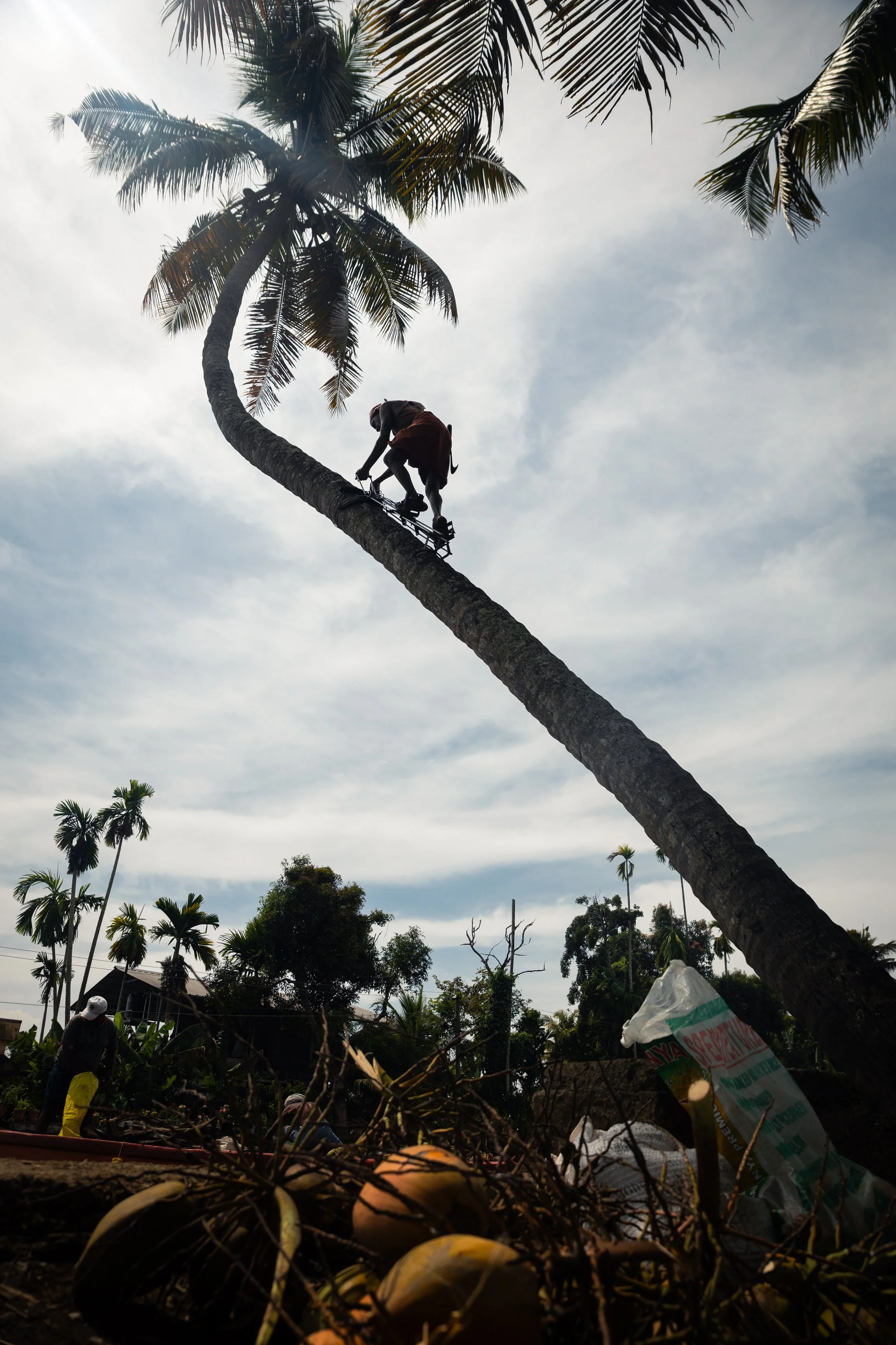 Alleppey Selects-82.jpg