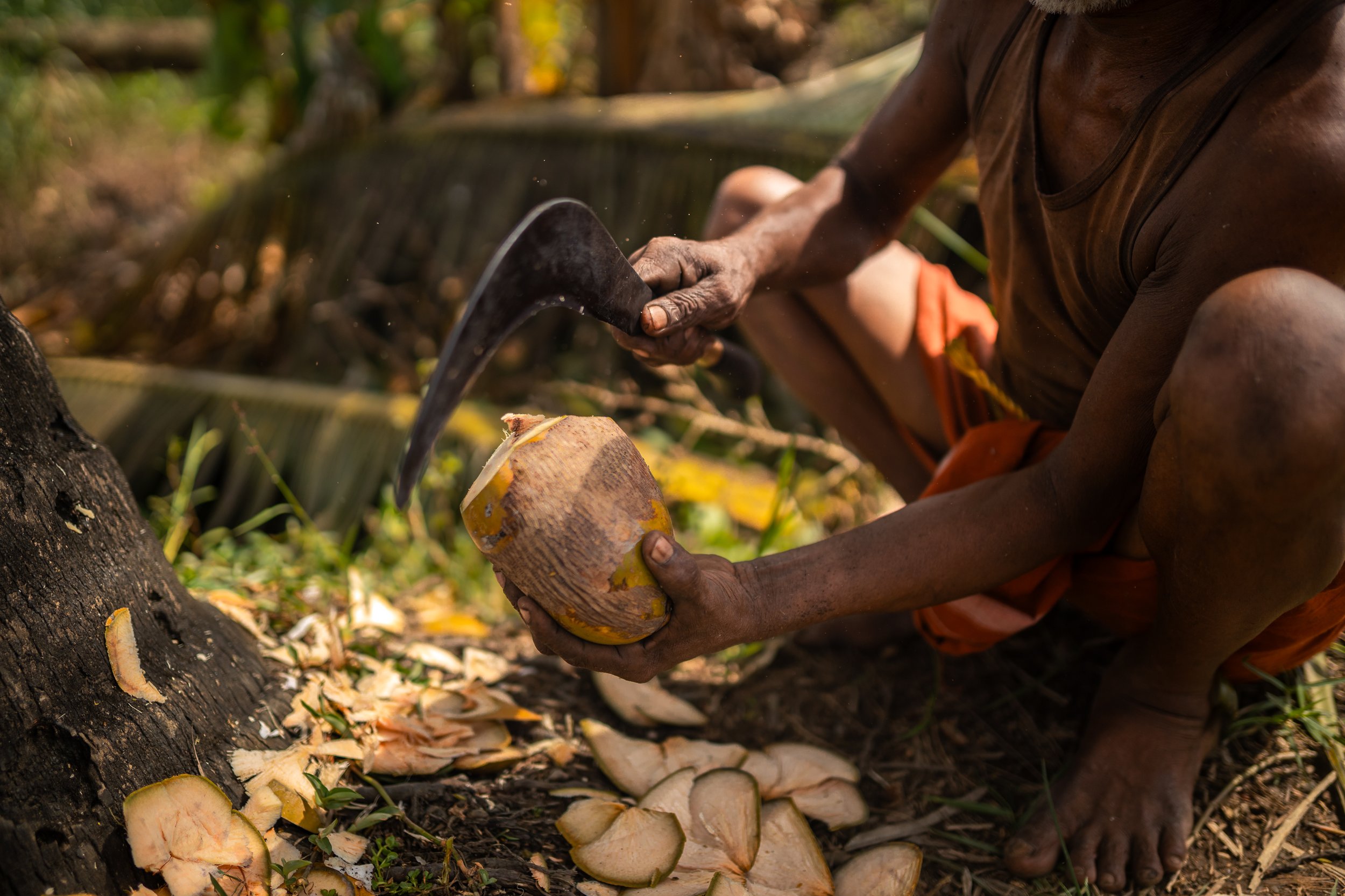 Alleppey Selects-77.jpg