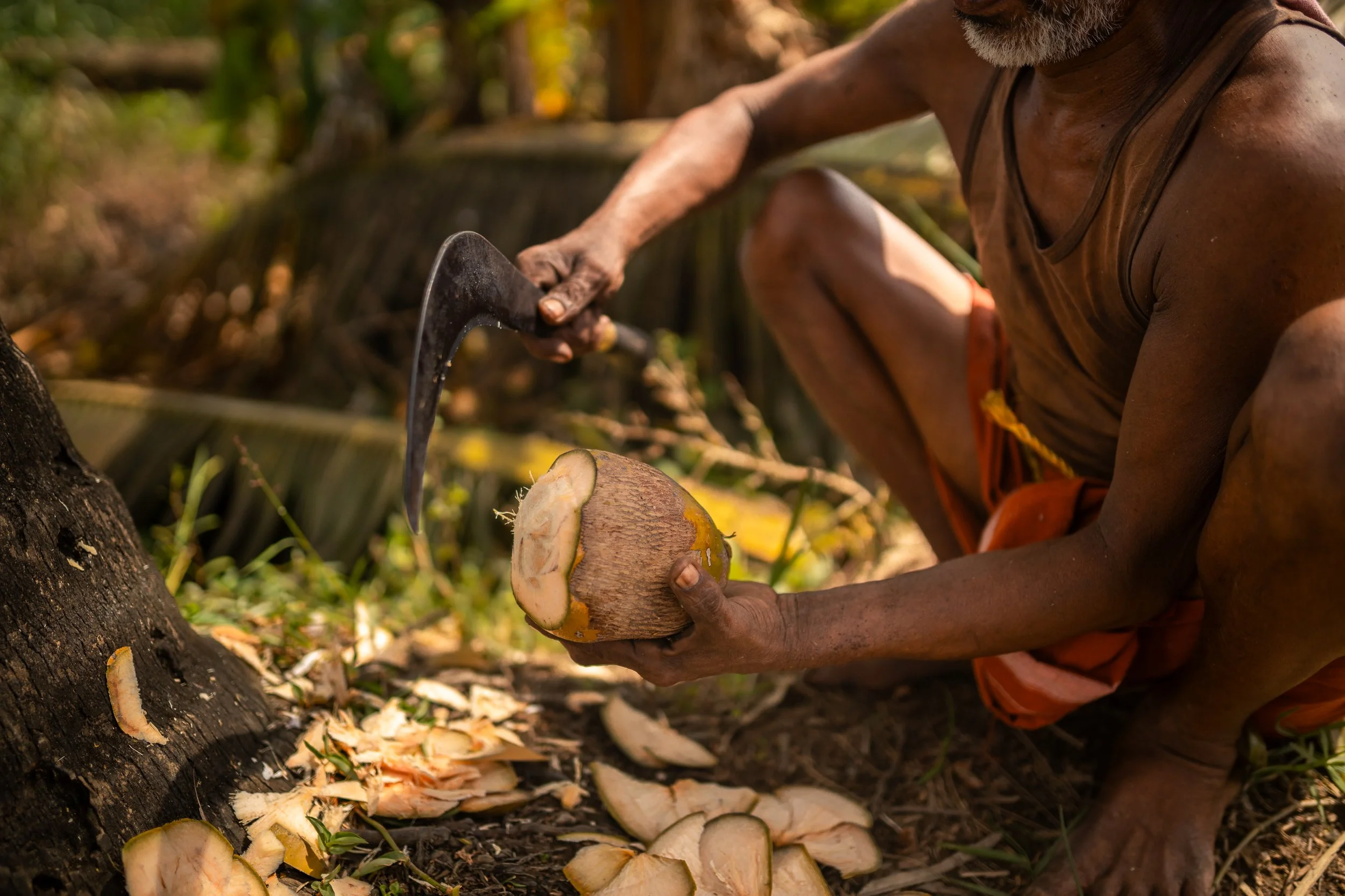 Alleppey Selects-76.jpg