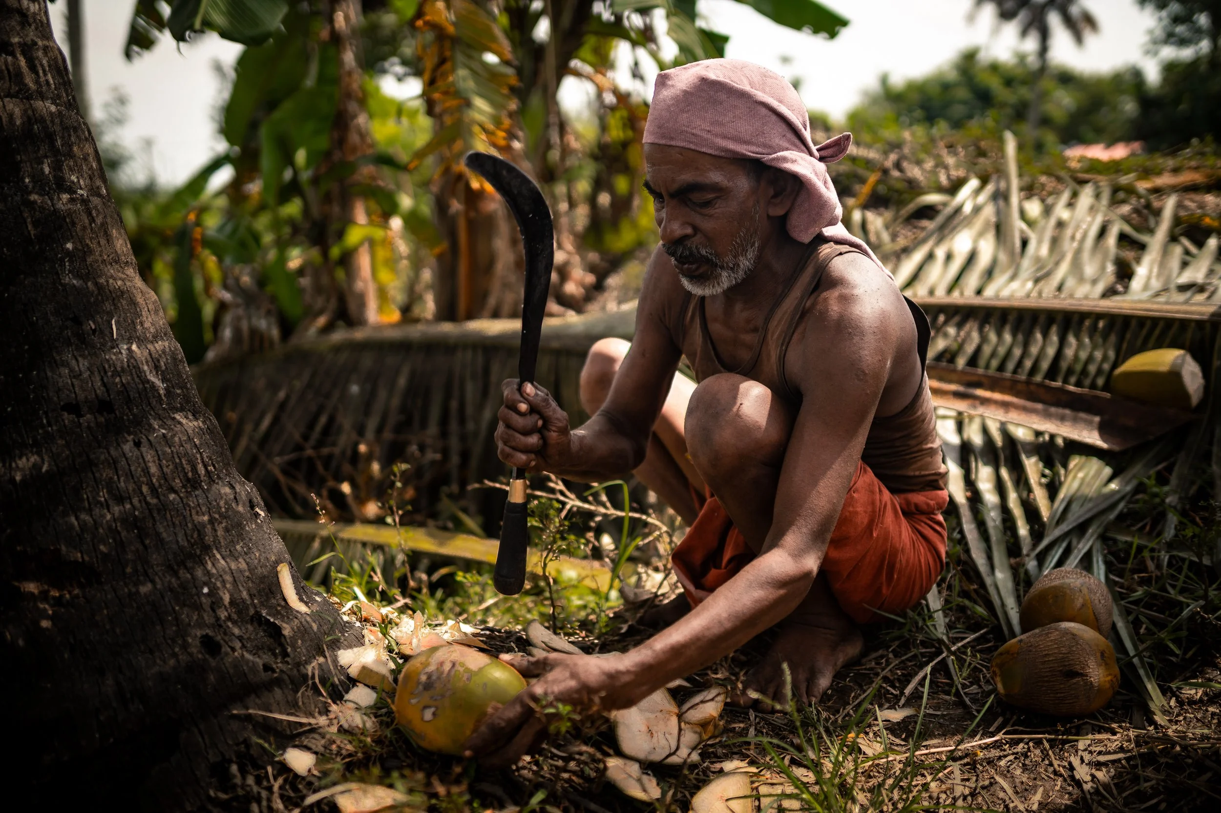 Alleppey Selects-75.jpg