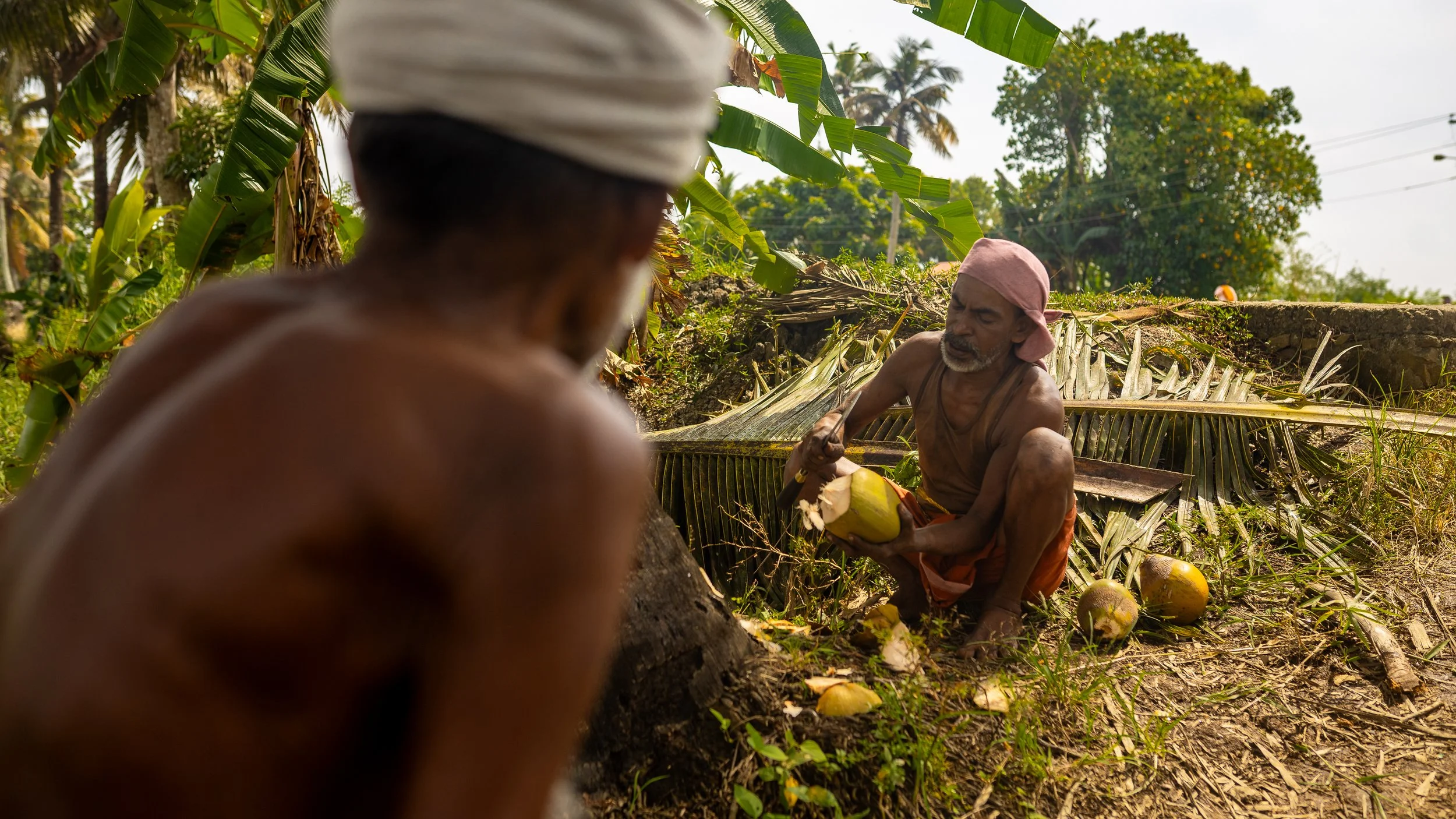 Alleppey Selects-73.jpg