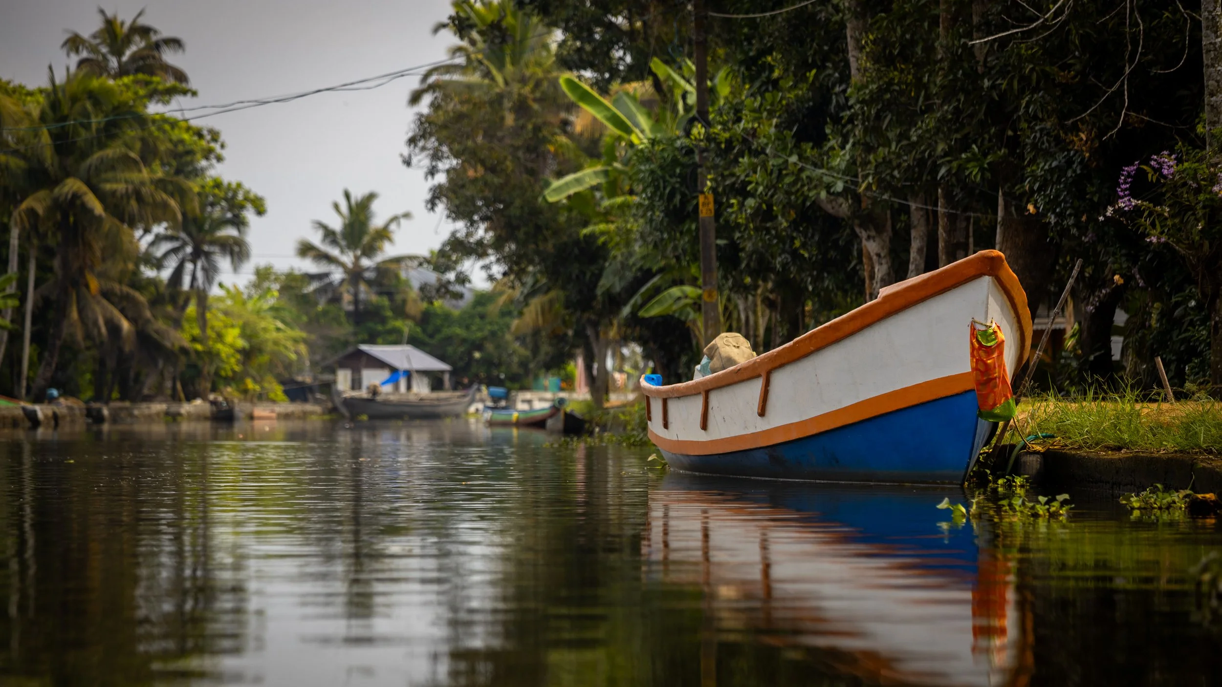 Alleppey Selects-63.jpg