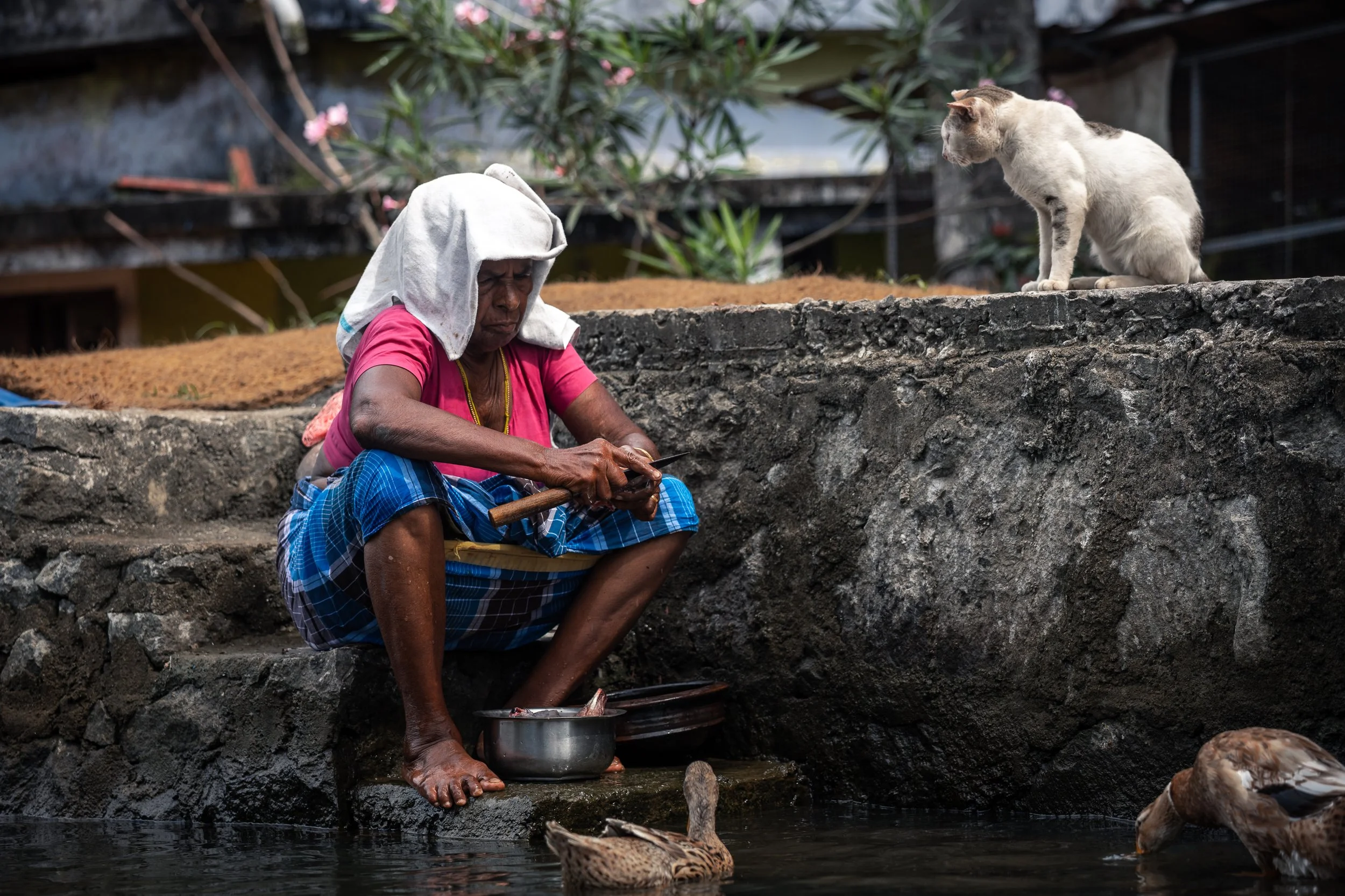Alleppey Selects-61.jpg