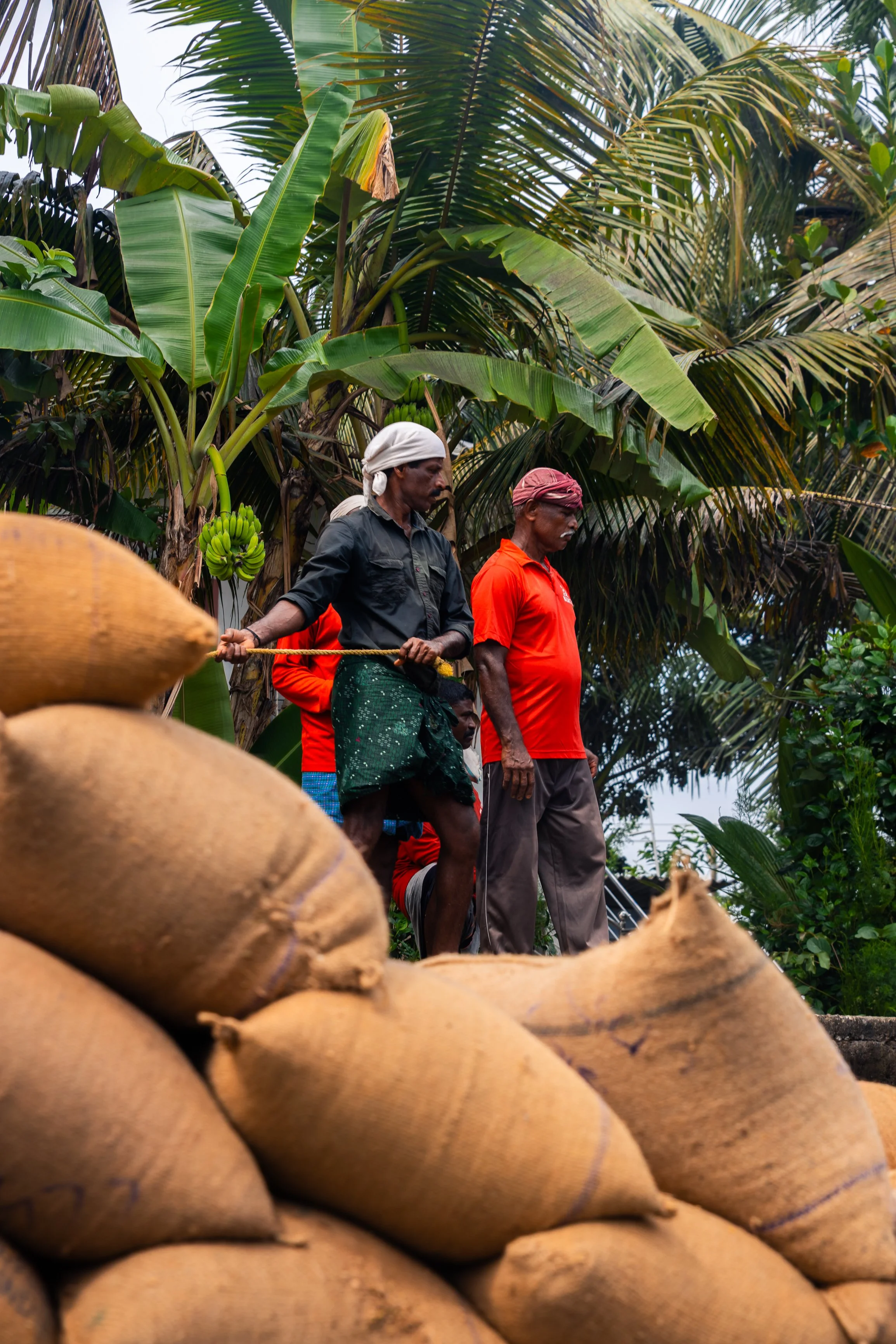 Alleppey Selects-55.jpg
