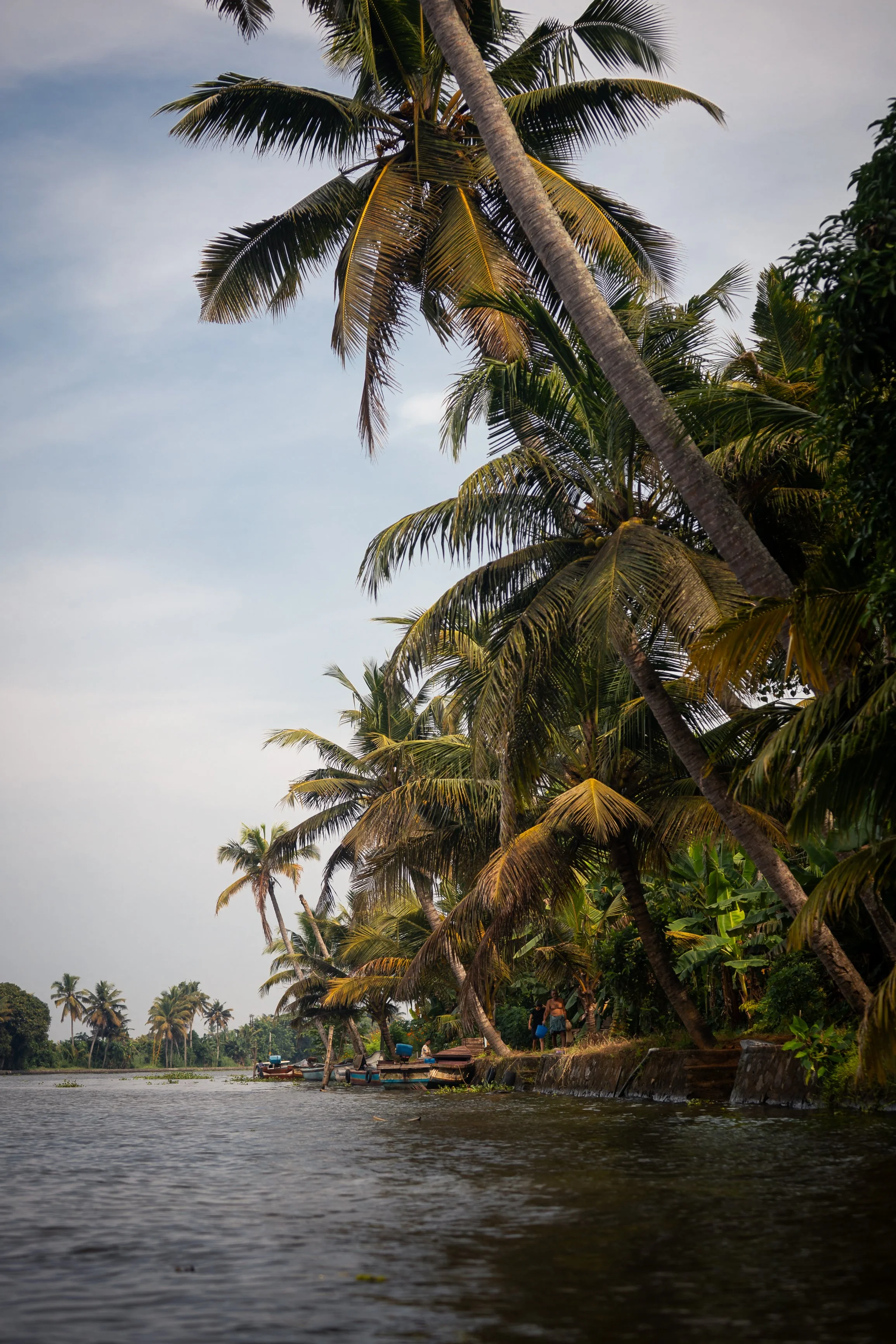 Alleppey Selects-44.jpg