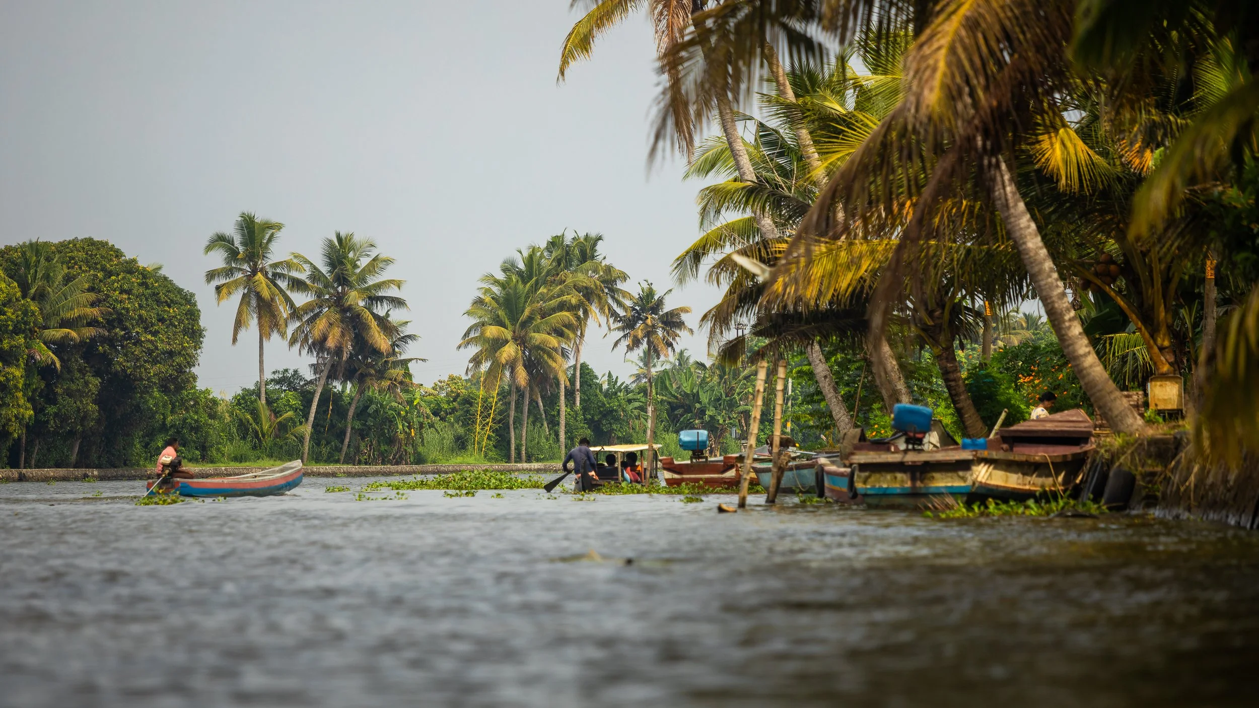 Alleppey Selects-43.jpg
