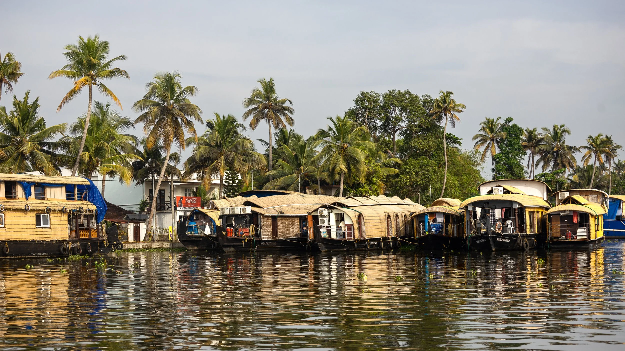 Alleppey Selects-27.jpg