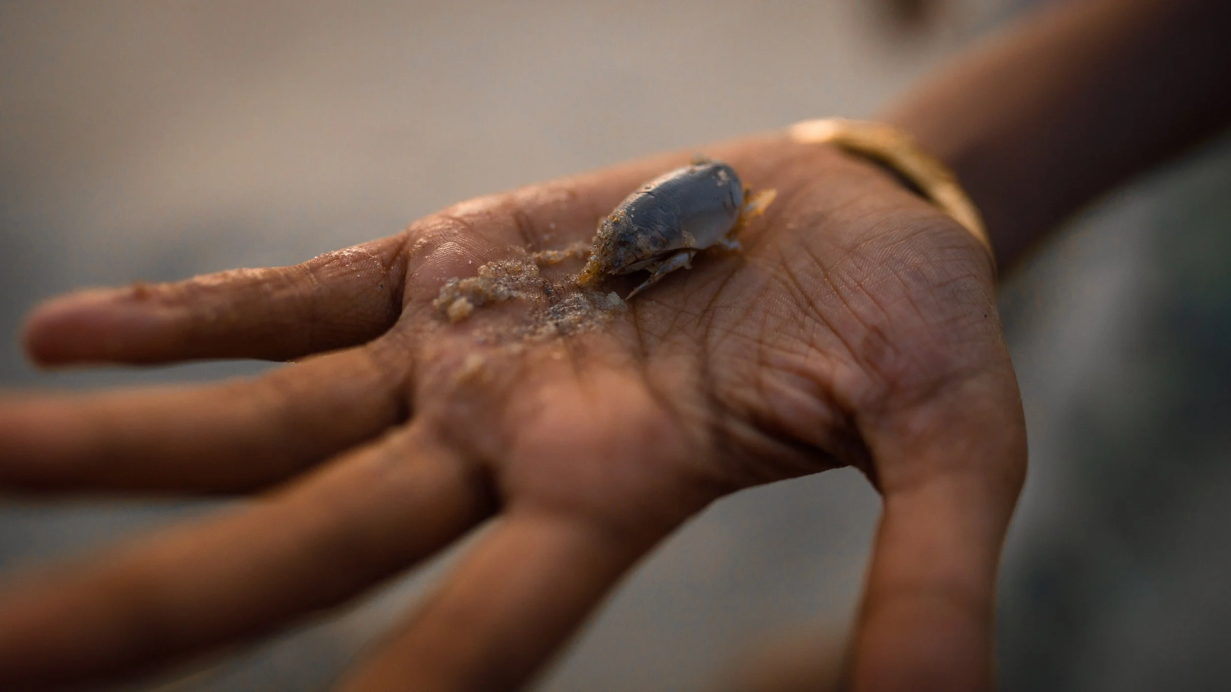 Alleppey Selects-20.jpg
