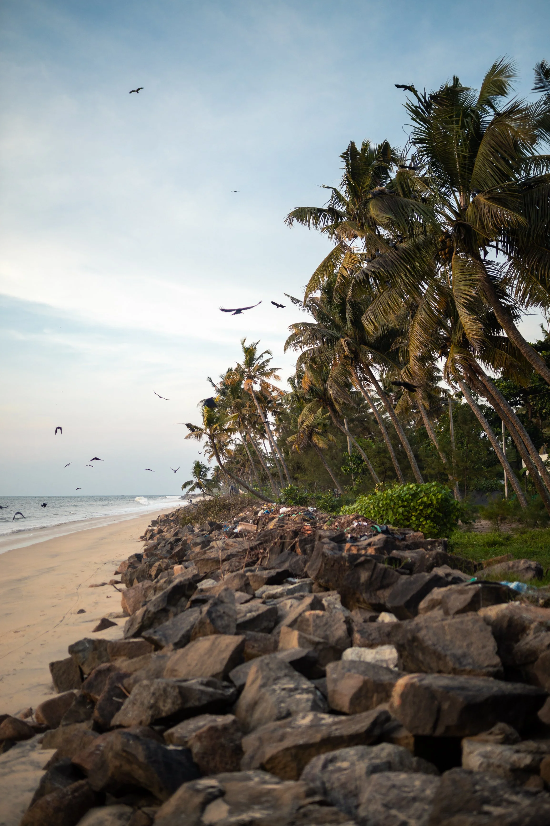 Alleppey Selects-13.jpg