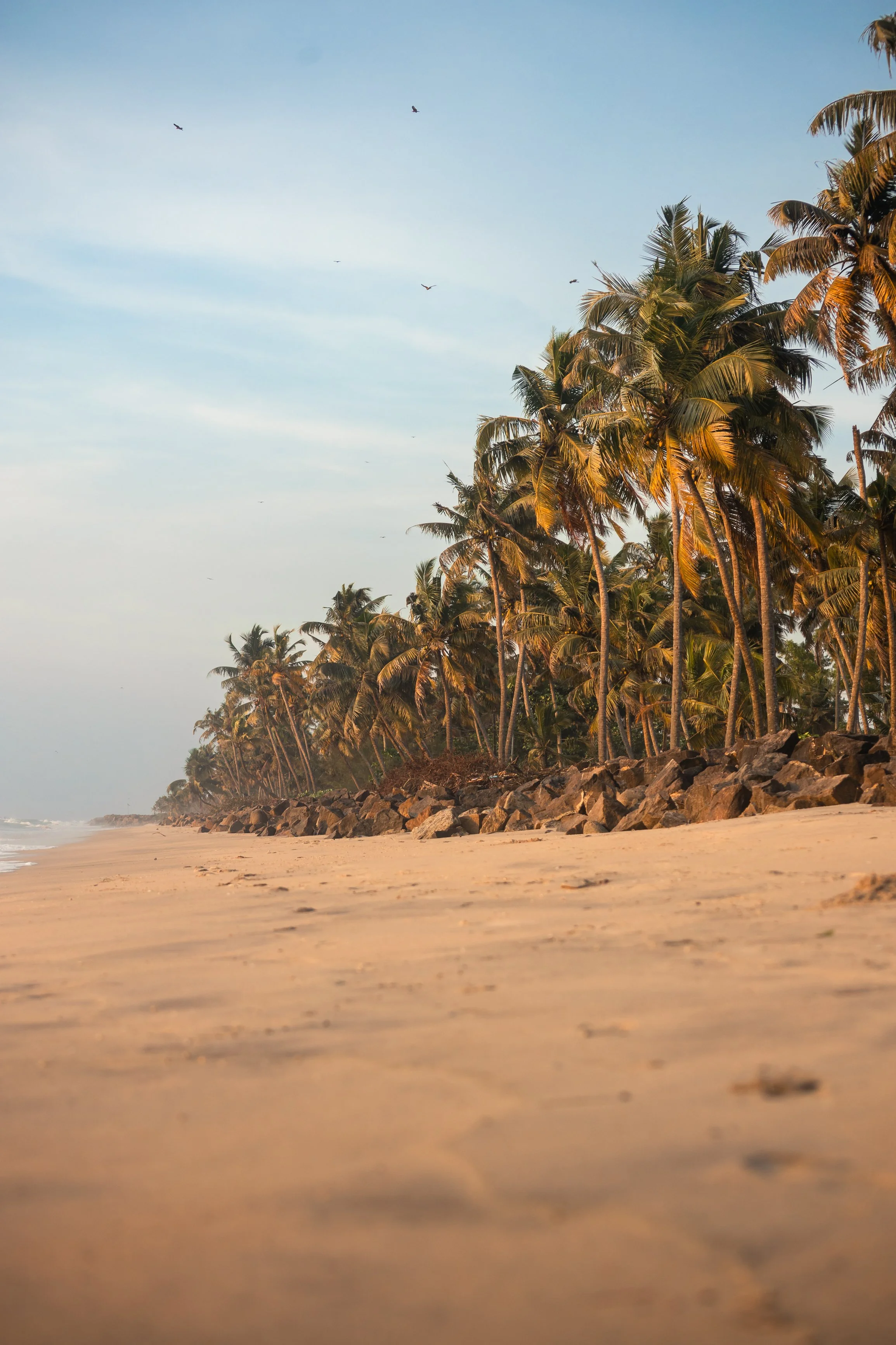 Alleppey Selects-6.jpg