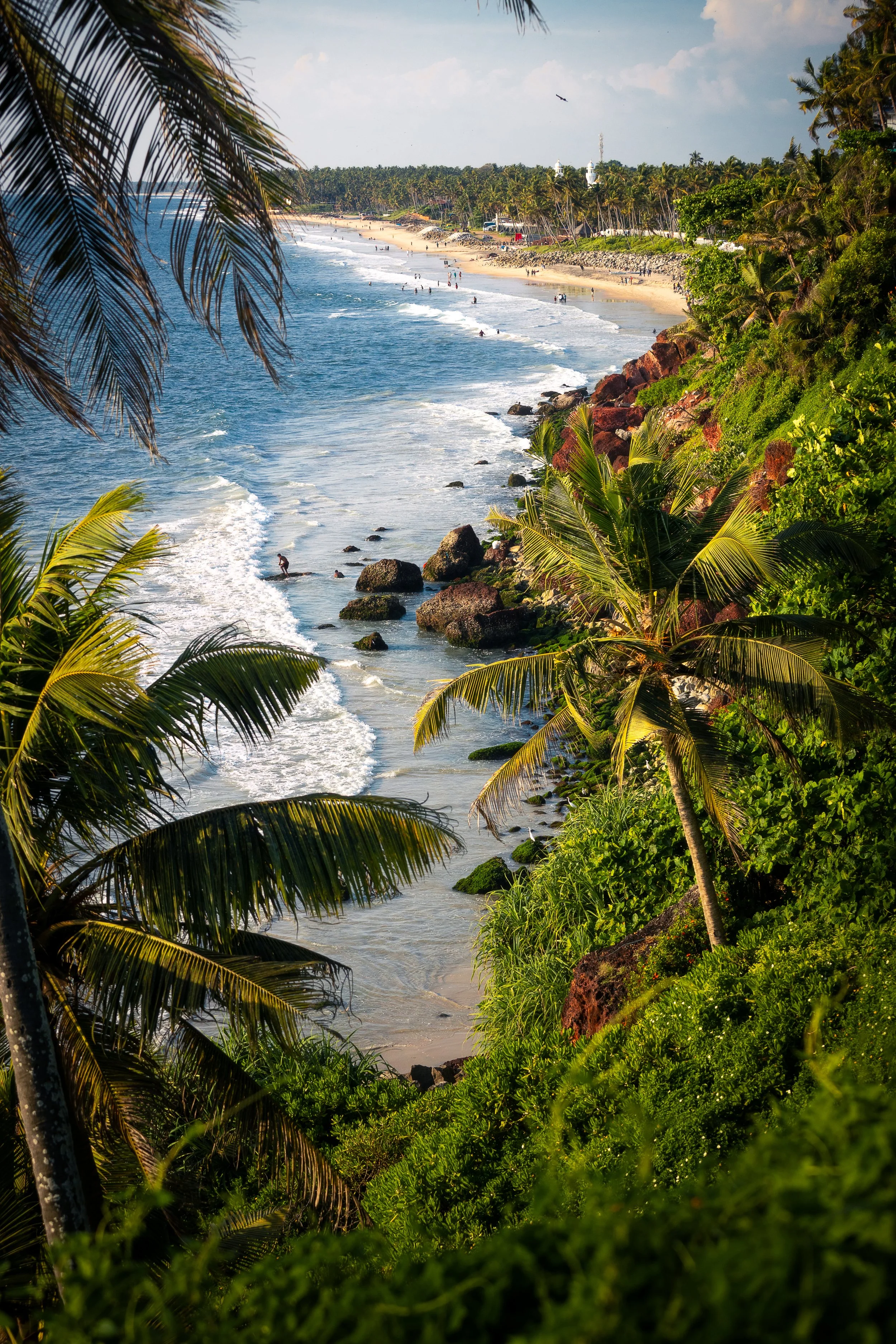 Varkala Palm Print - Website Version.jpg