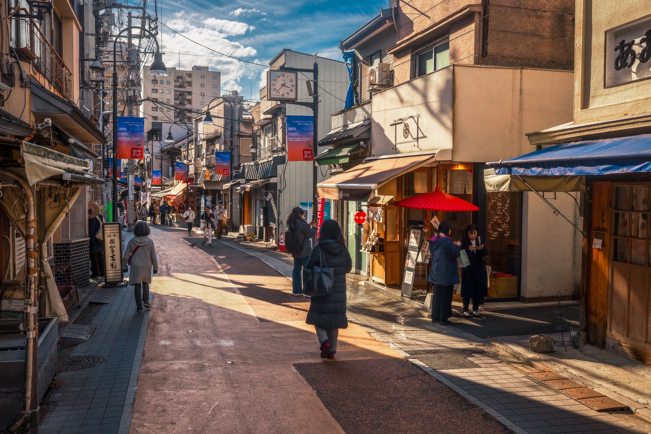 Yanaka Print Preview.jpg