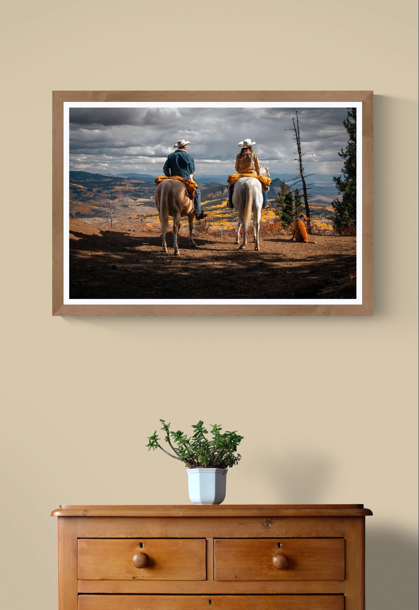 Plant on wooden drawers.jpeg