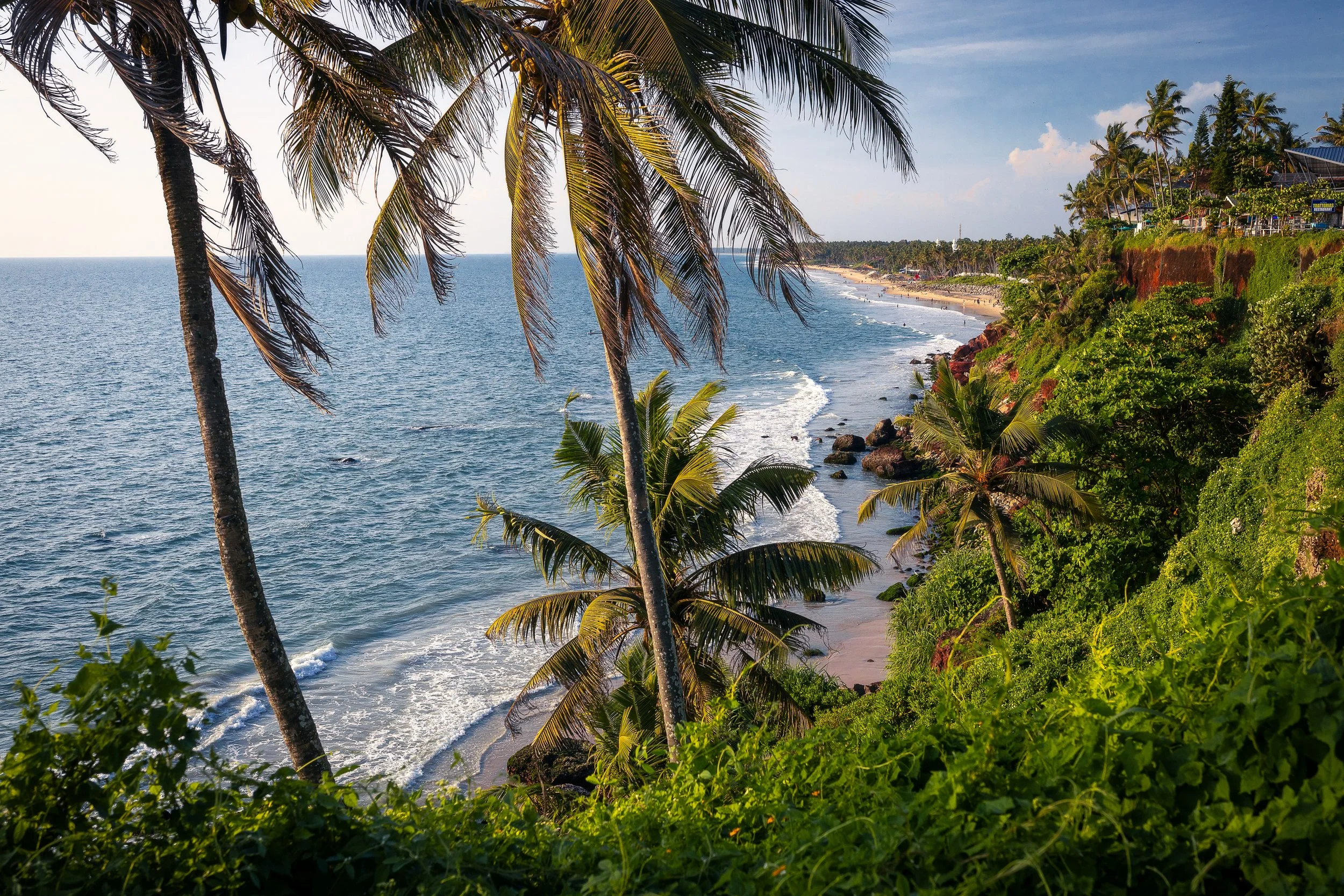 Varkala Palm Print Horizontal - Website Version.jpg