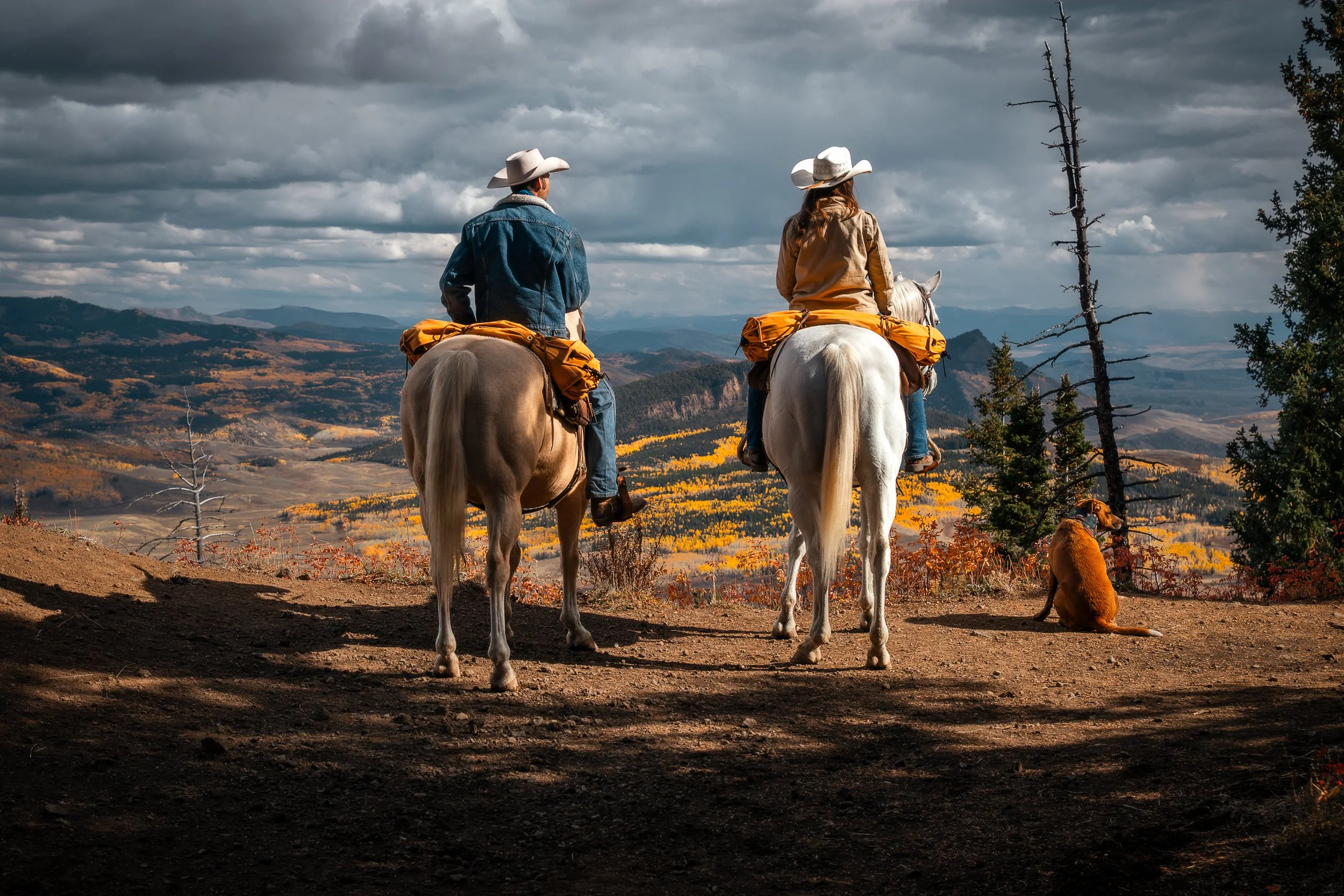 High Country Print Website Preview.jpg