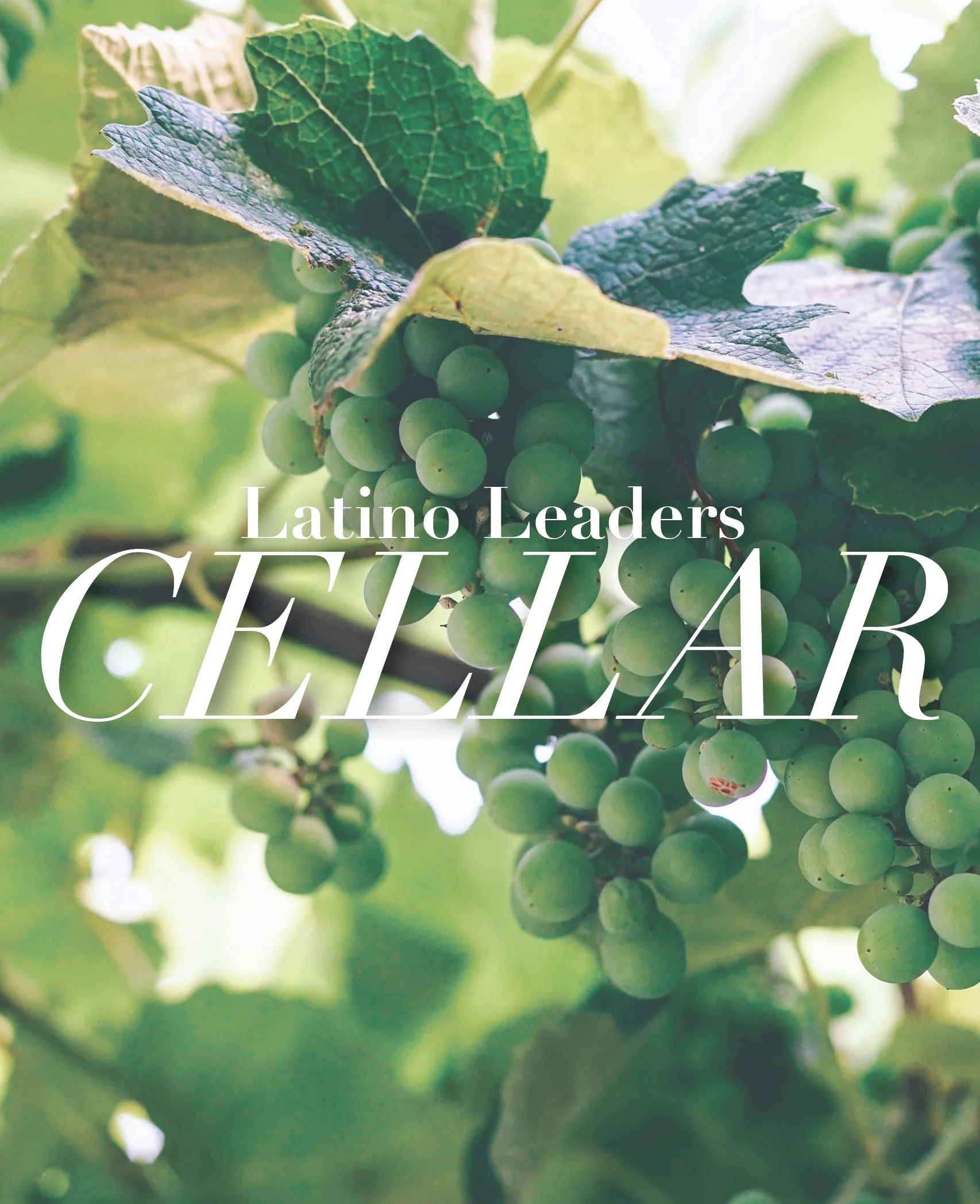 LL_Cellar_graphic2.jpg