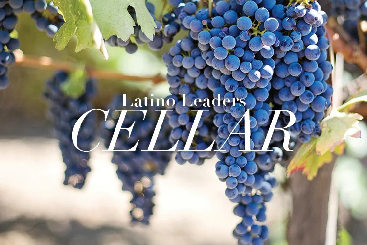 Uncorking Napa: Cellar